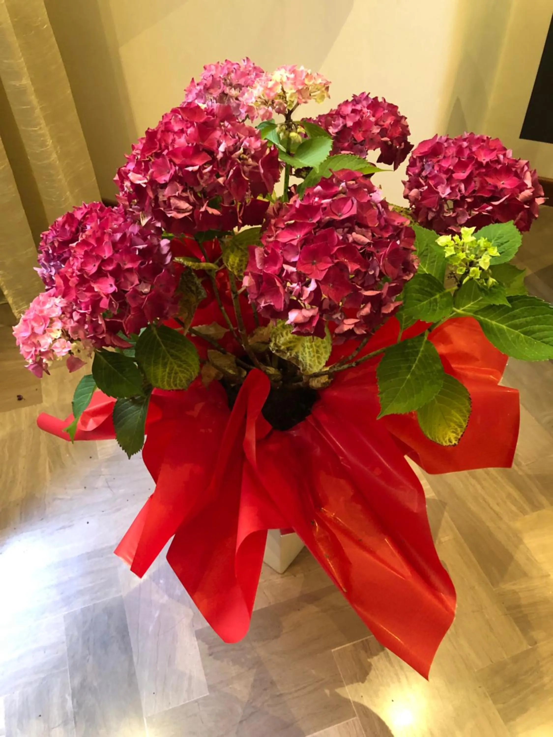 Decorative detail in ACasaMia WelcHome Hotel