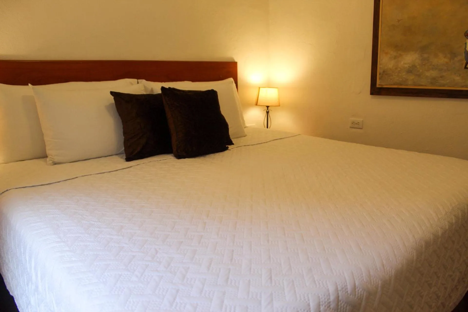 Bed in Life is Good Cartagena Hostel