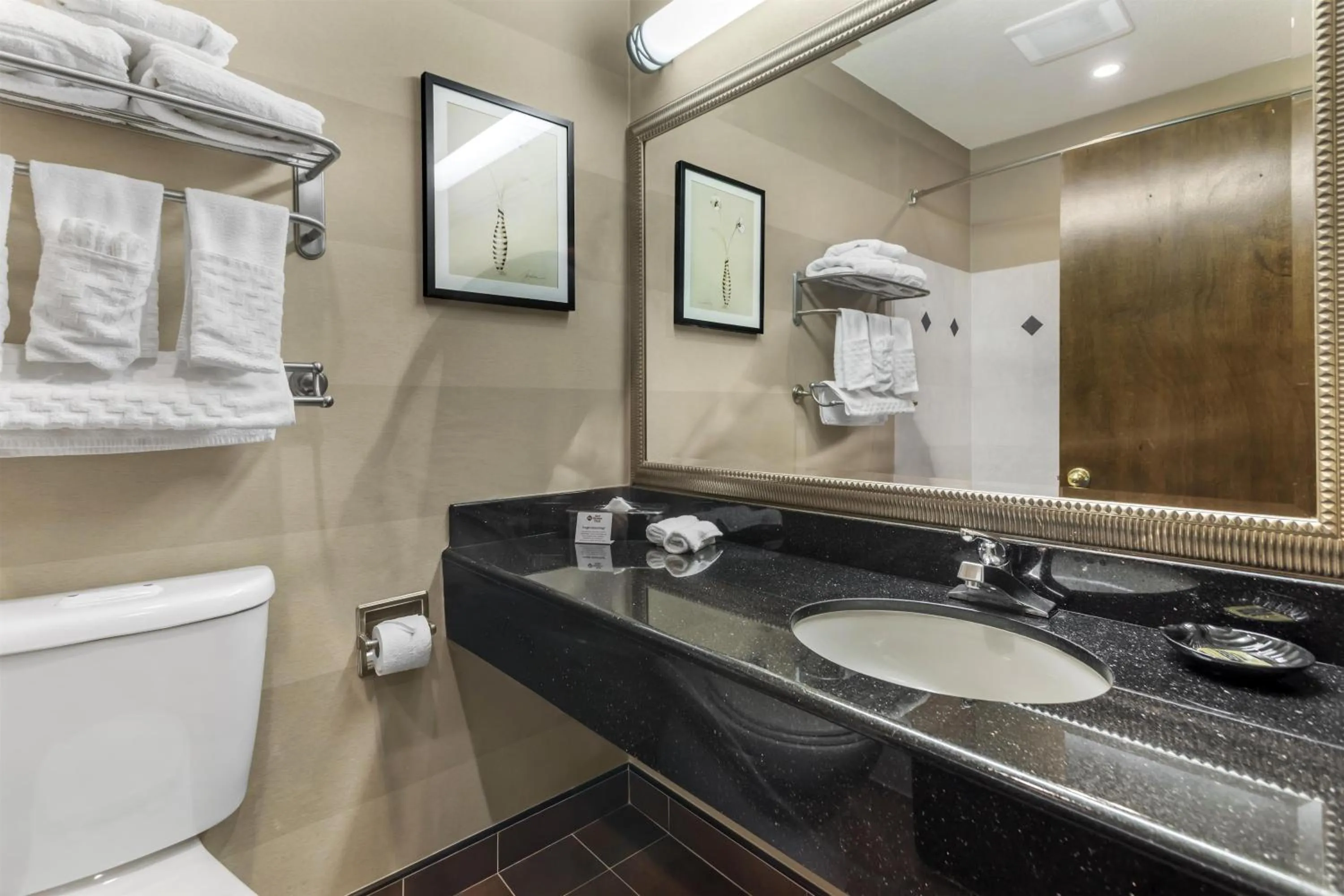 Bathroom in Best Western Plus Brookside Inn