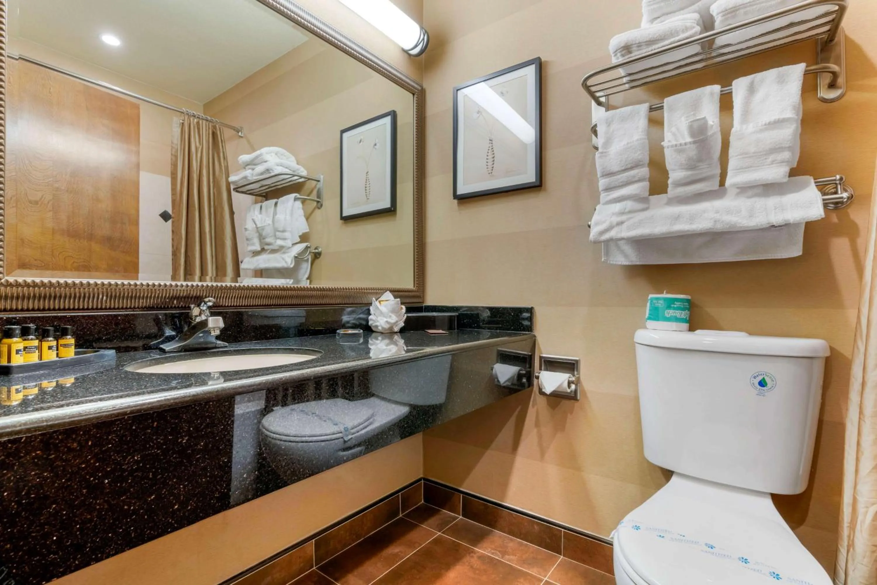 Bathroom in Best Western Plus Brookside Inn