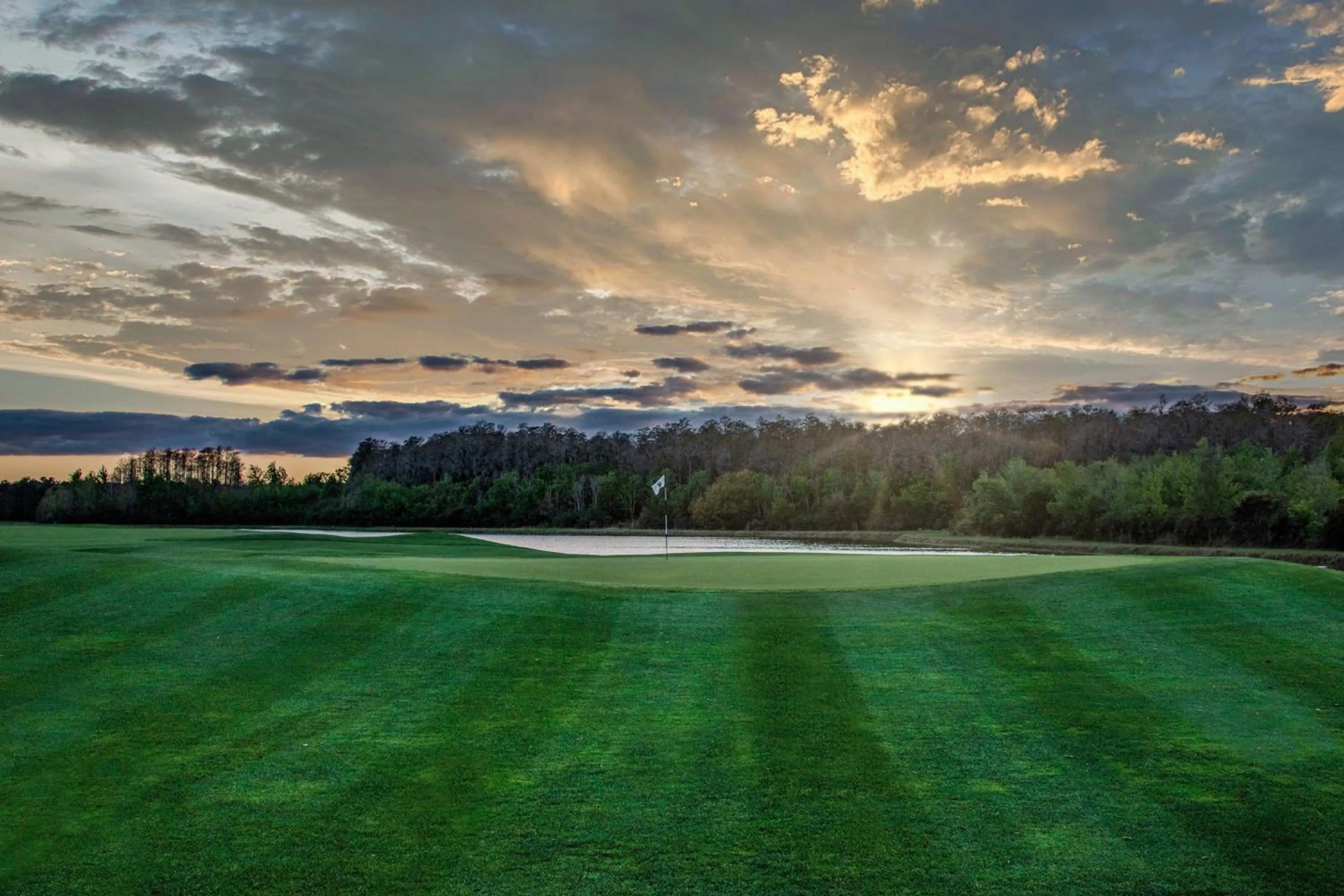 Other in The Ritz-Carlton Orlando, Grande Lakes