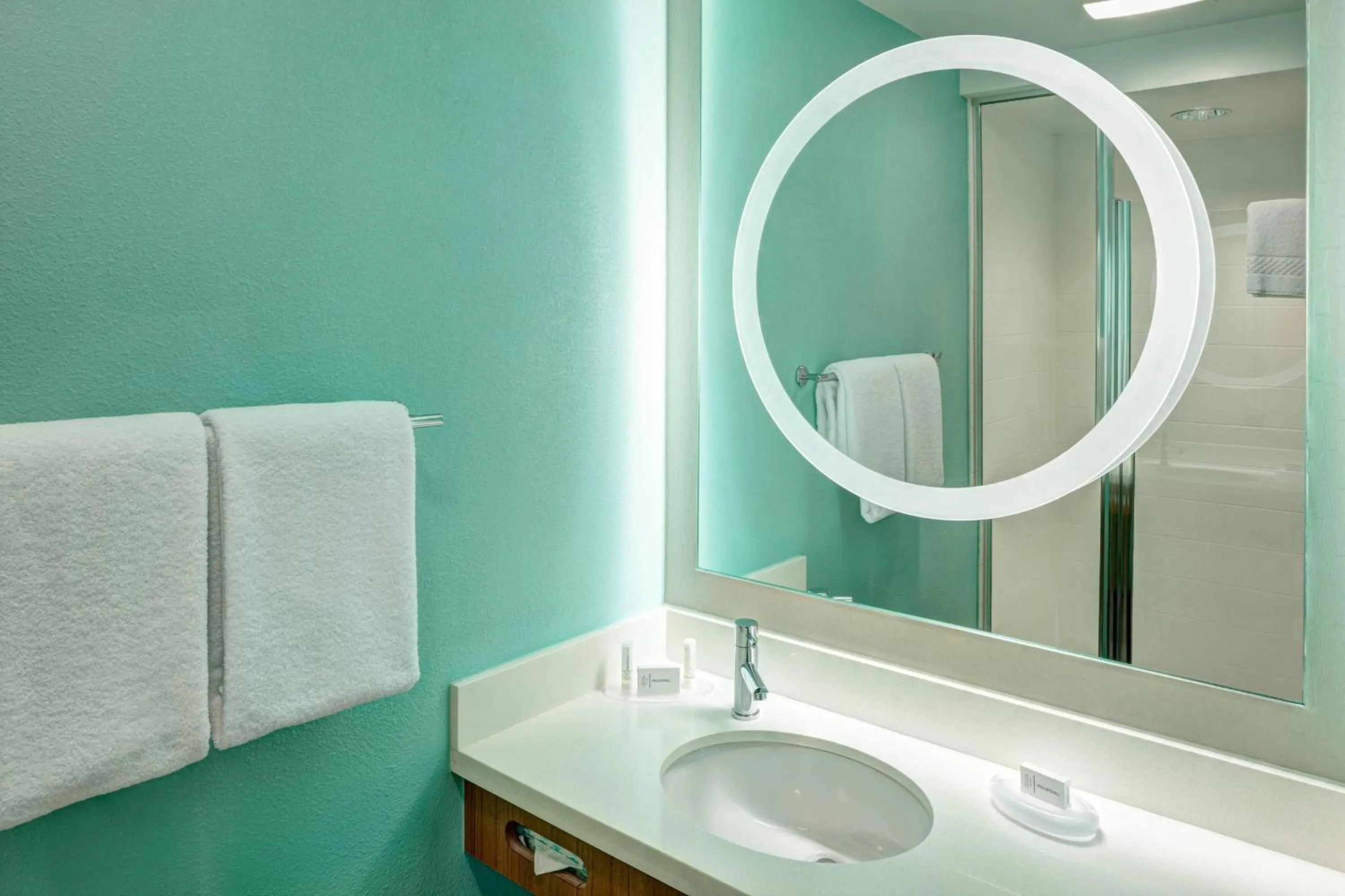 Bathroom in SpringHill Suites by Marriott Orlando at SeaWorld