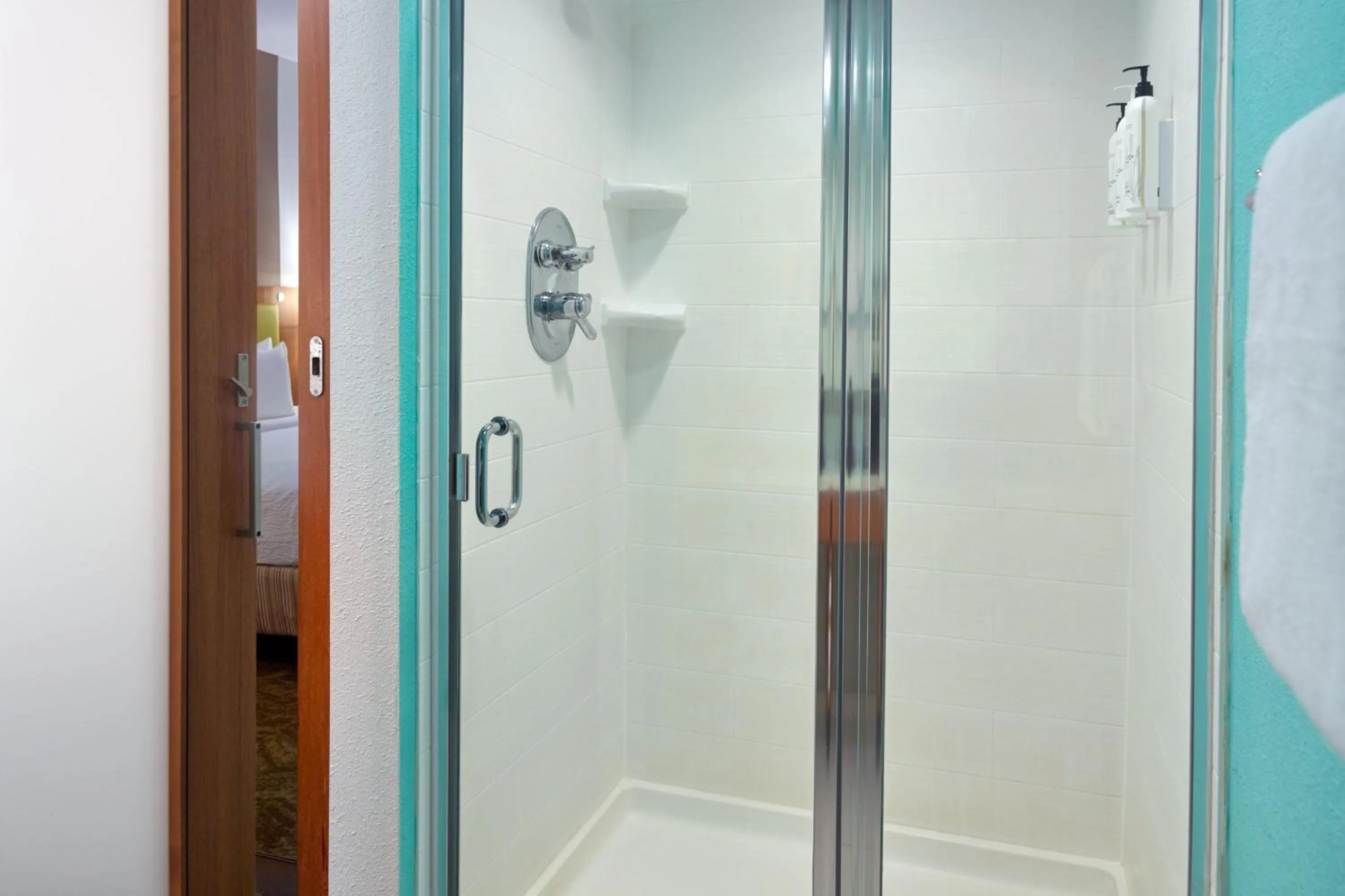 Bathroom in SpringHill Suites by Marriott Orlando at SeaWorld