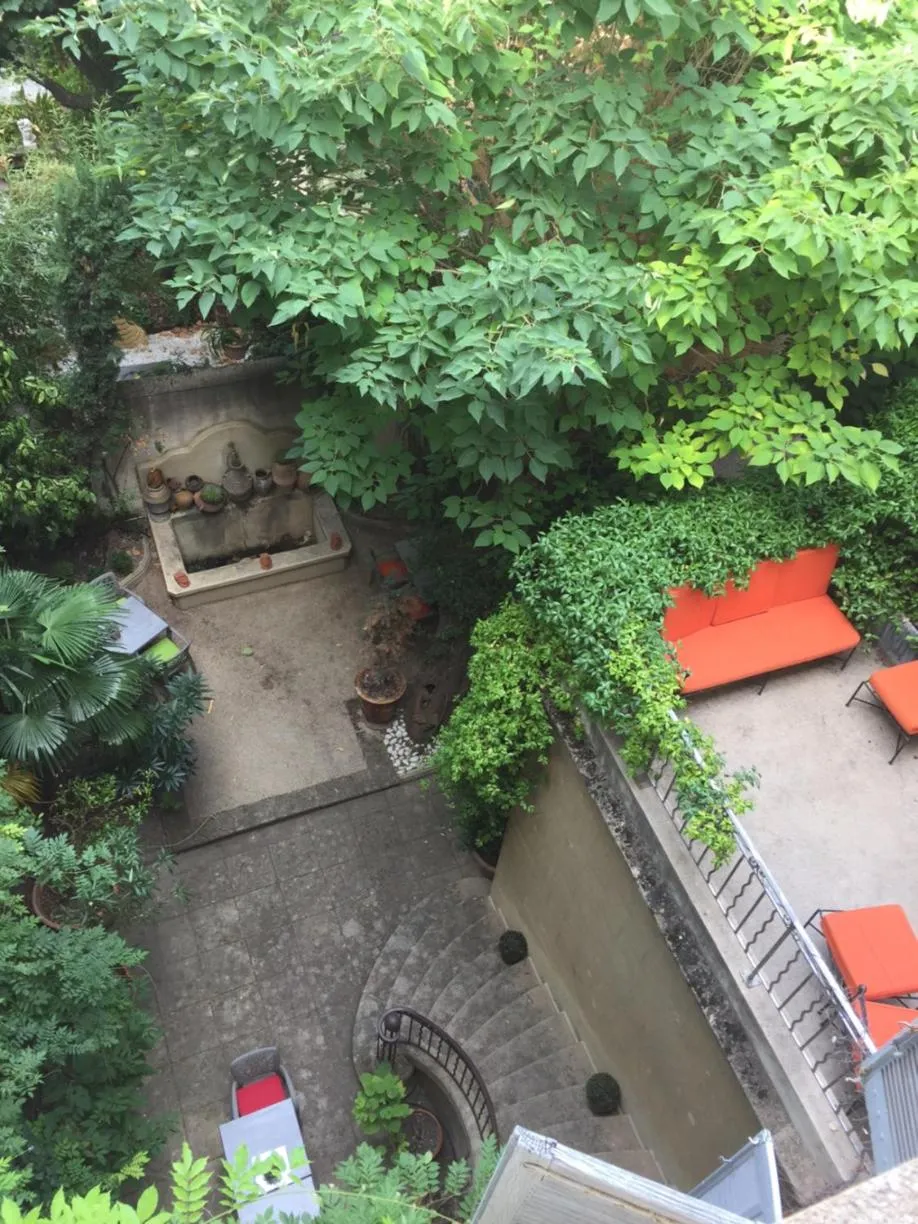 Garden in Hôtel Particulier Le 28 - Spa & Art Luxury Design by Alain Ducasse