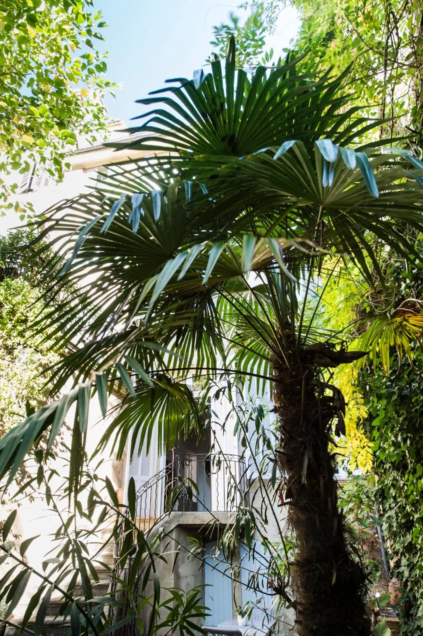 Garden in Hôtel Particulier Le 28 - Spa & Art Luxury Design by Alain Ducasse