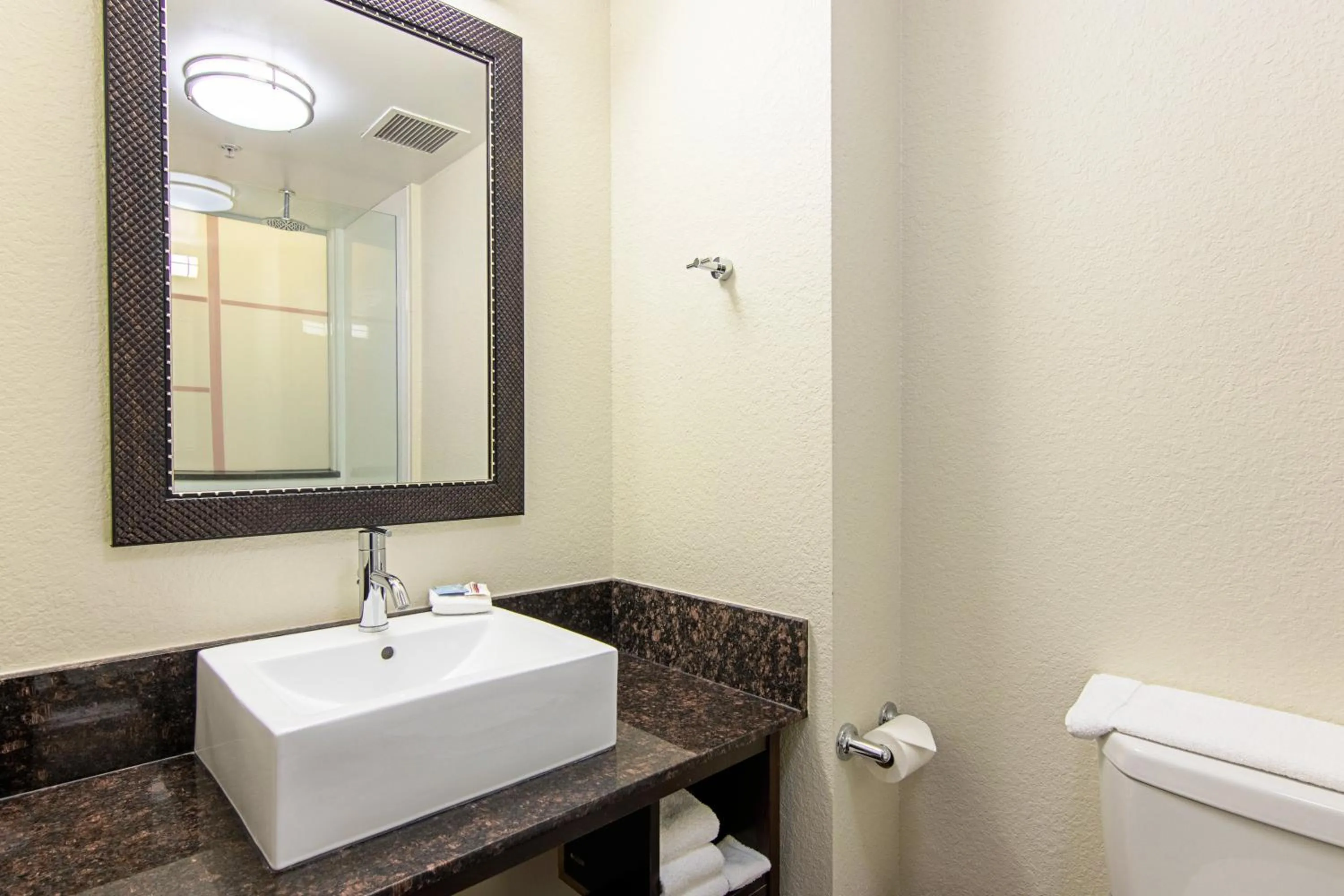 Bathroom in Red Roof Inn Locust Grove