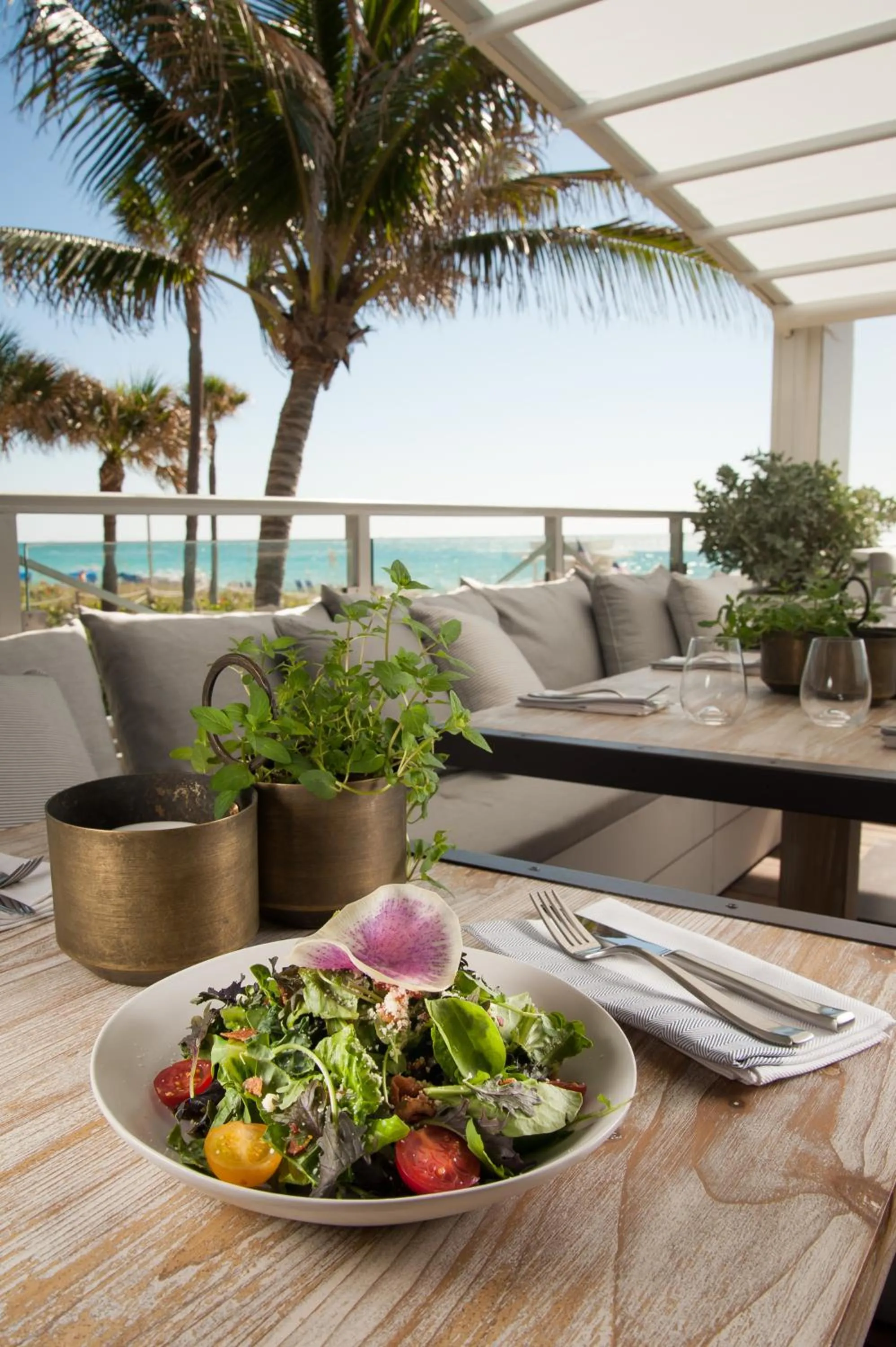 Food close-up in Eden Roc Miami Beach