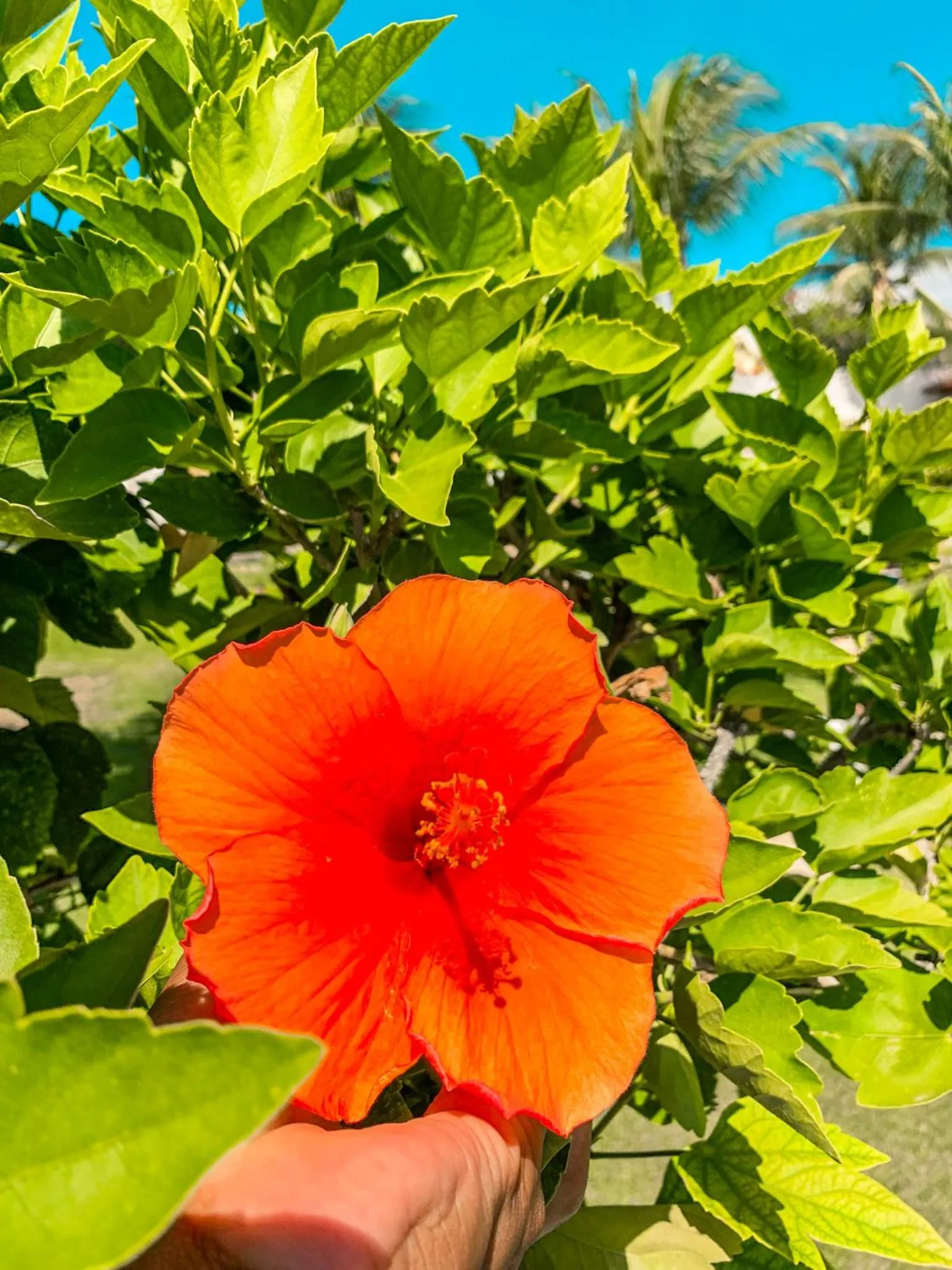 Spring in Pousada La Goduria