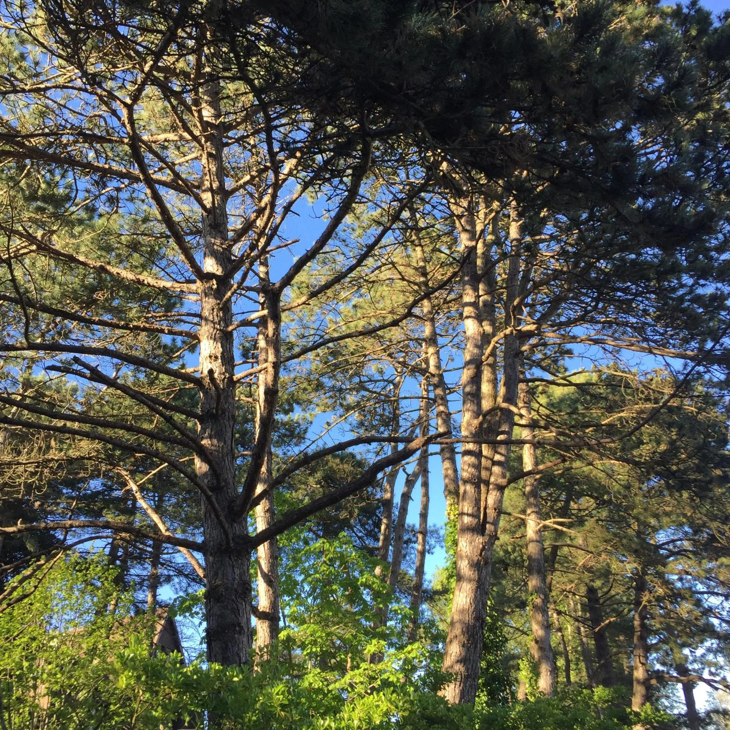 Neighbourhood in Demeure d'Hôtes Haec Otia