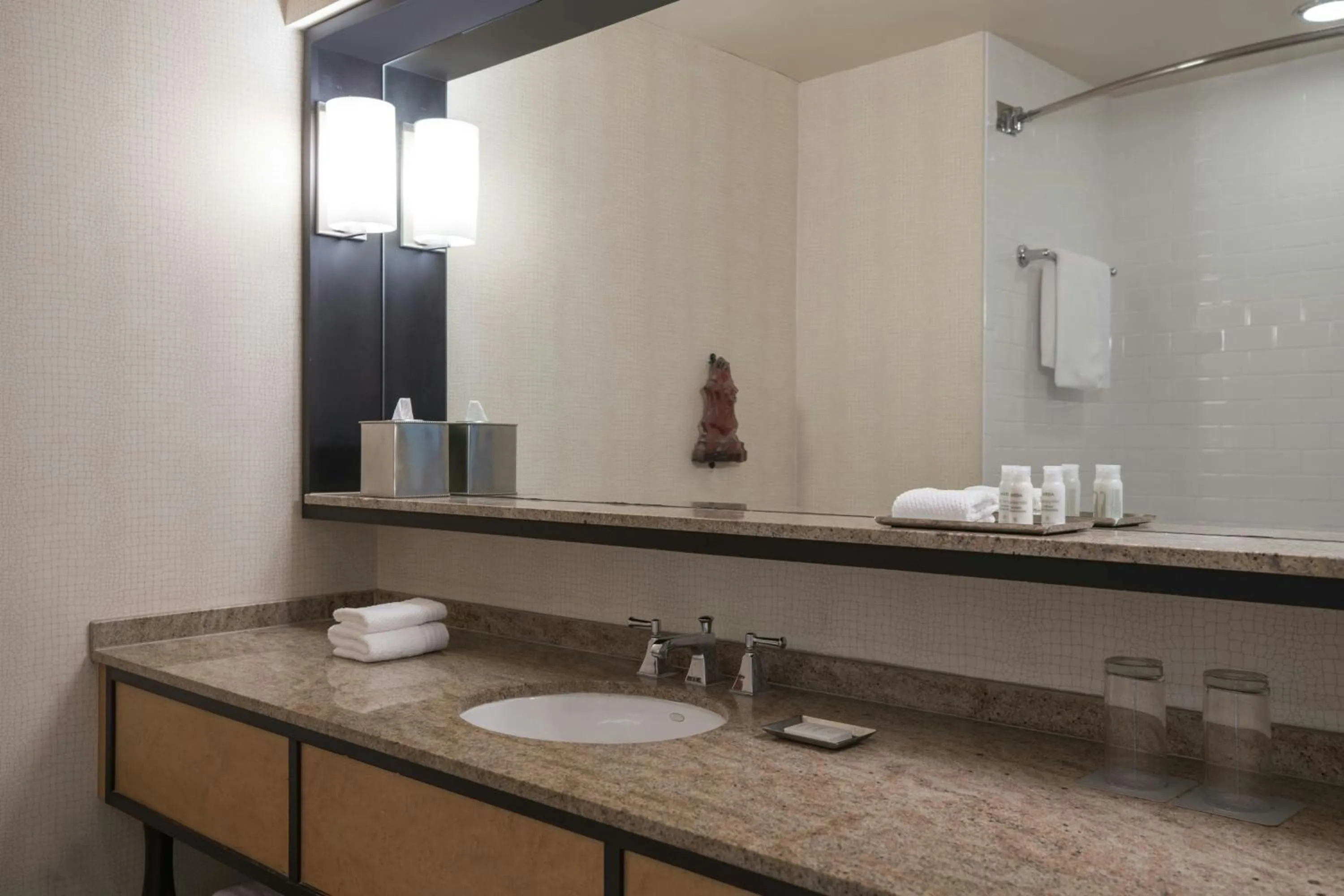 Bathroom in Renaissance New Orleans Arts Warehouse District Hotel