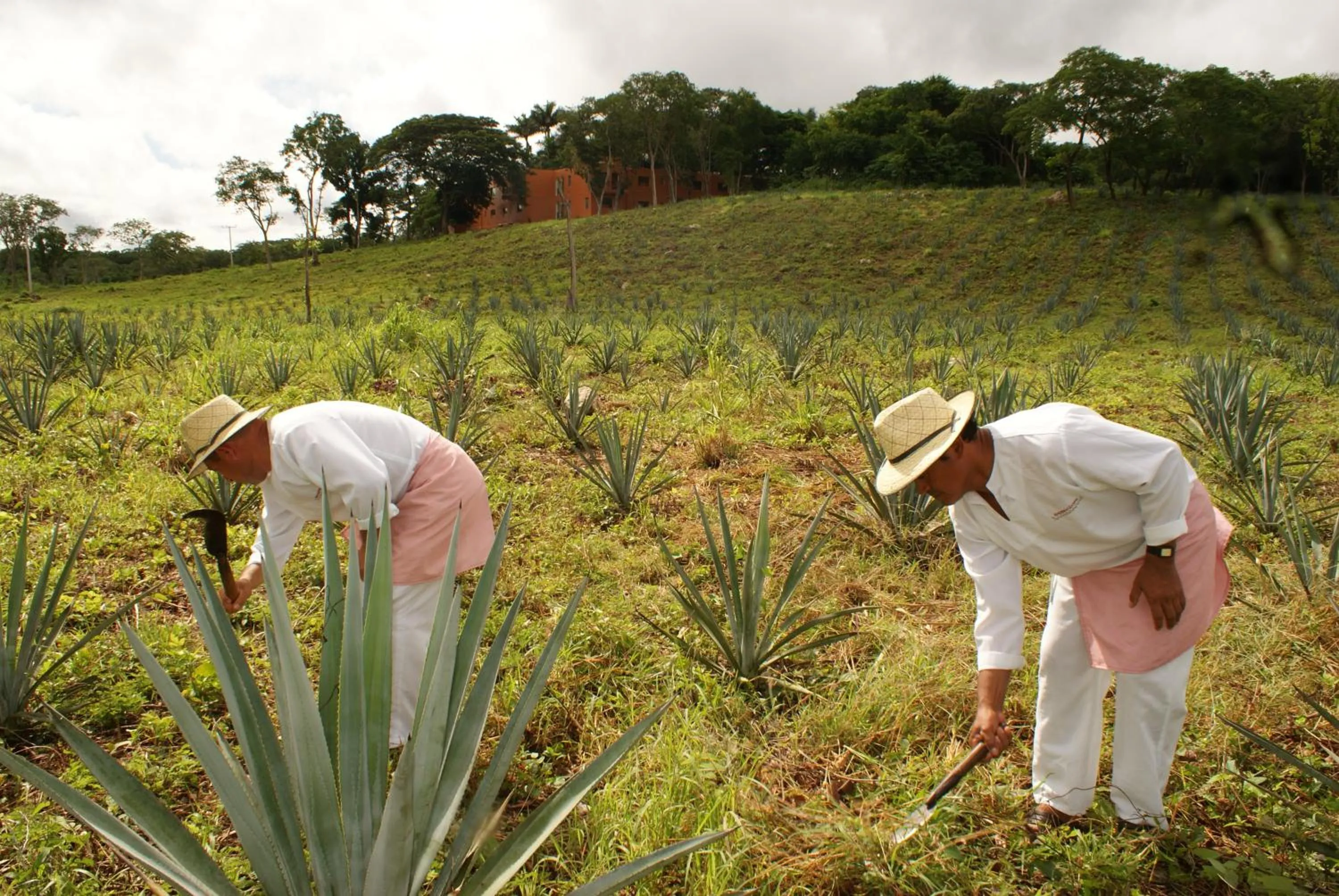 People in Hacienda Uxmal Plantation & Museum