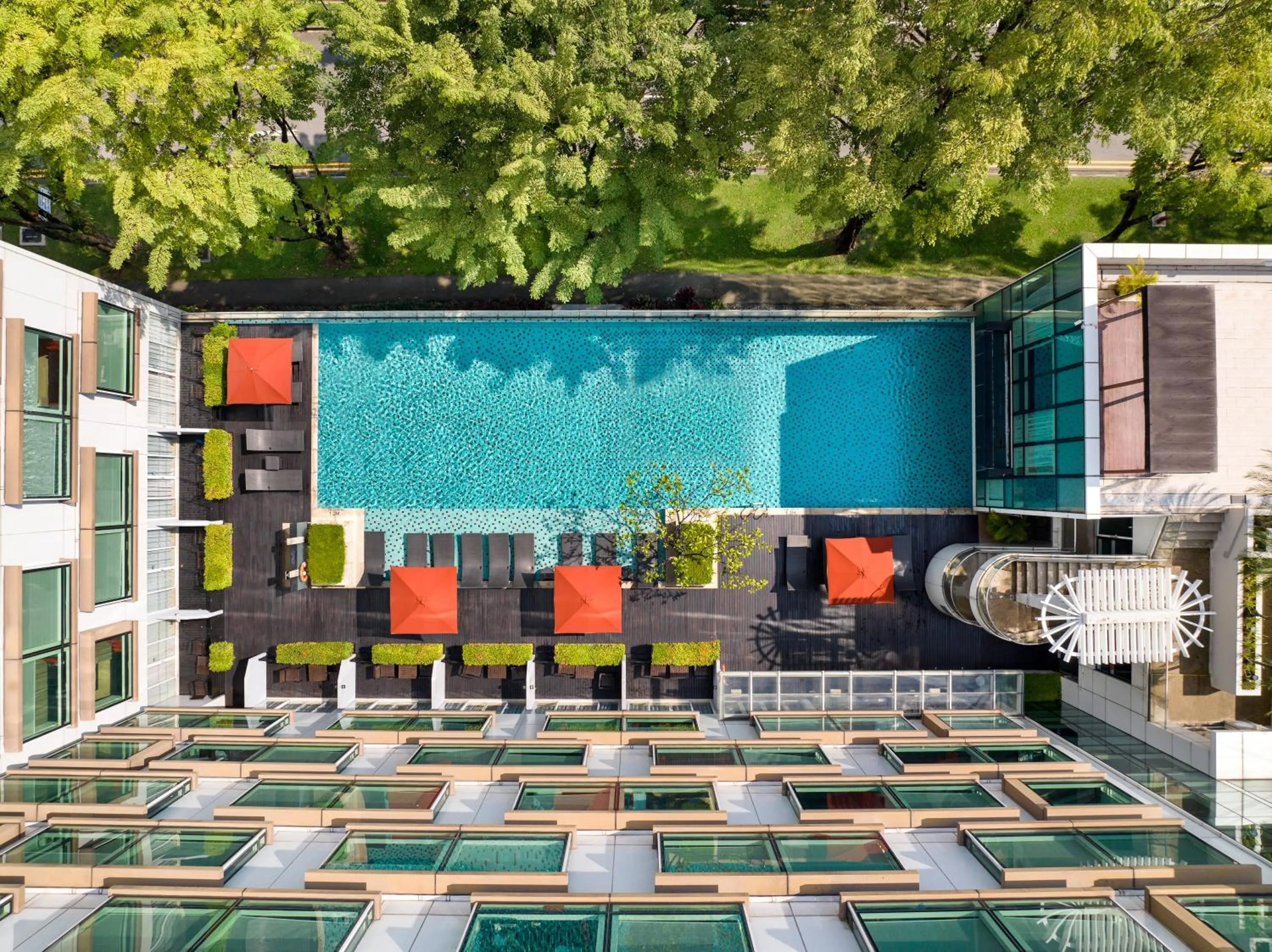 Swimming pool in Park Regis by Prince Singapore - Newly Renovated