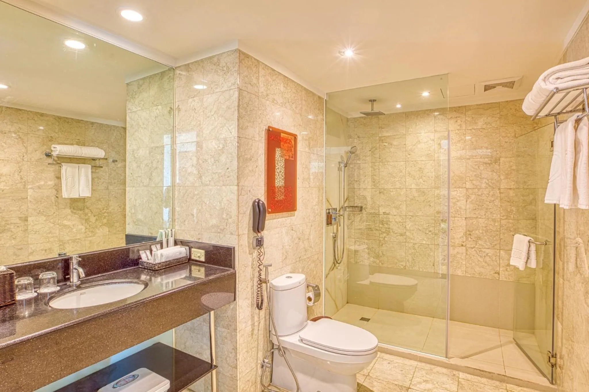 Shower in Eastwood Richmonde Hotel Quezon City