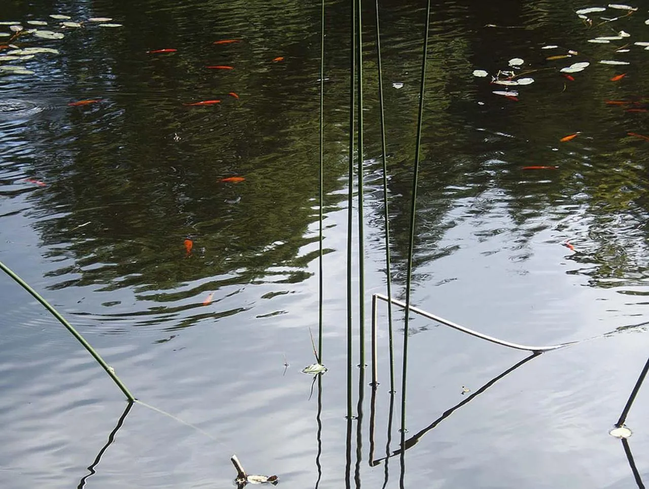 Garden in Pas de Deux