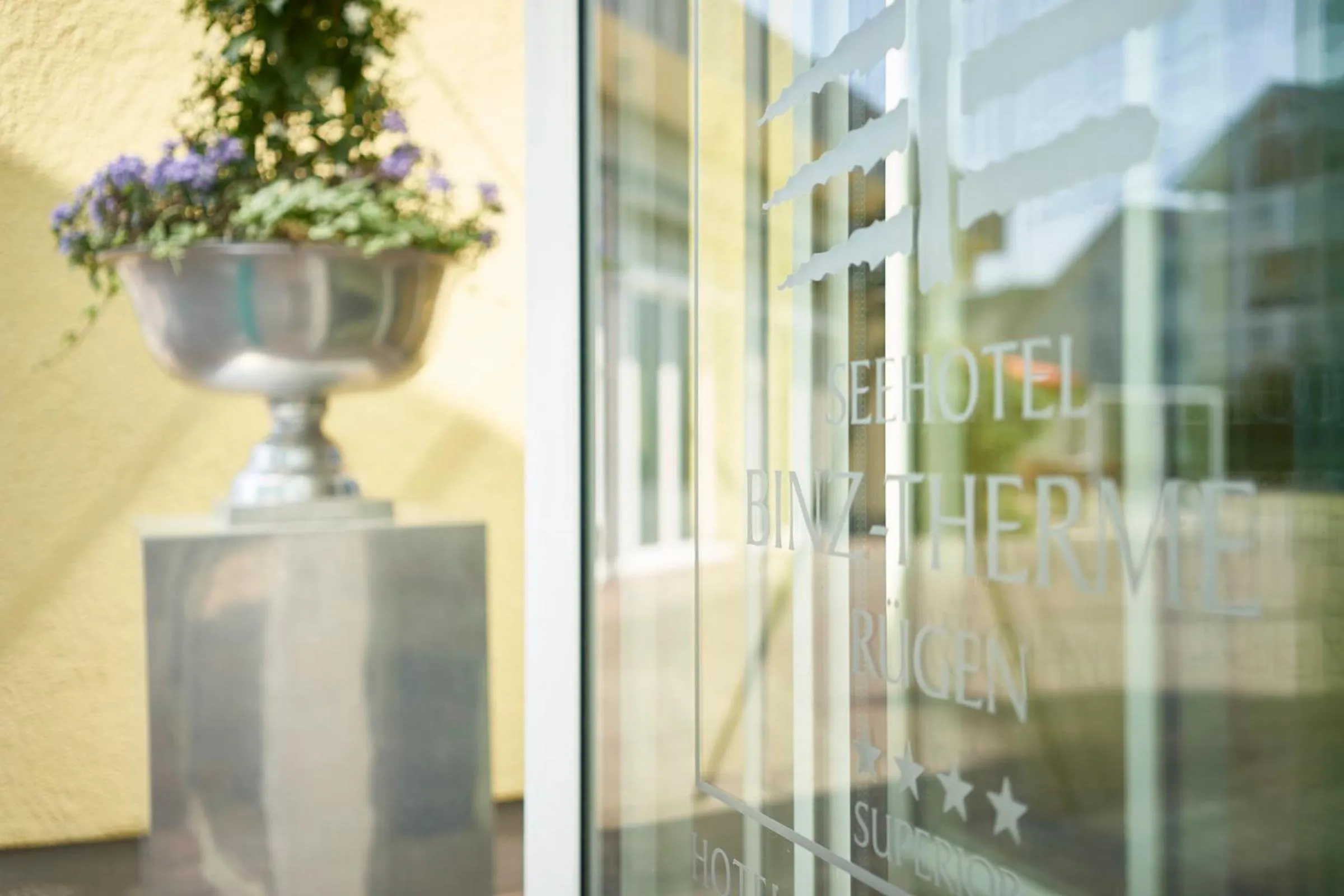 Spring in Dorint Seehotel Binz-Therme