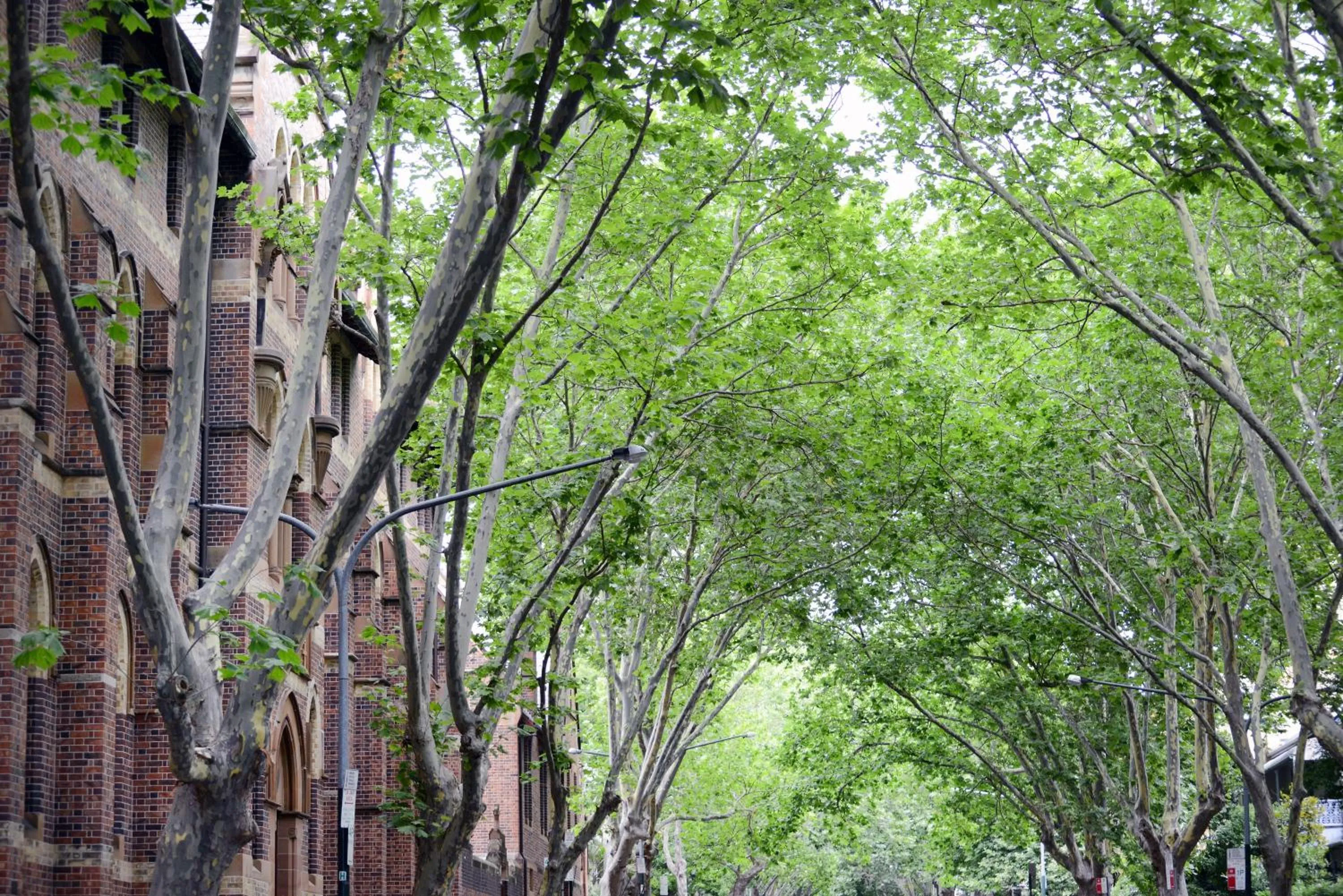 Neighbourhood in The Maisonette