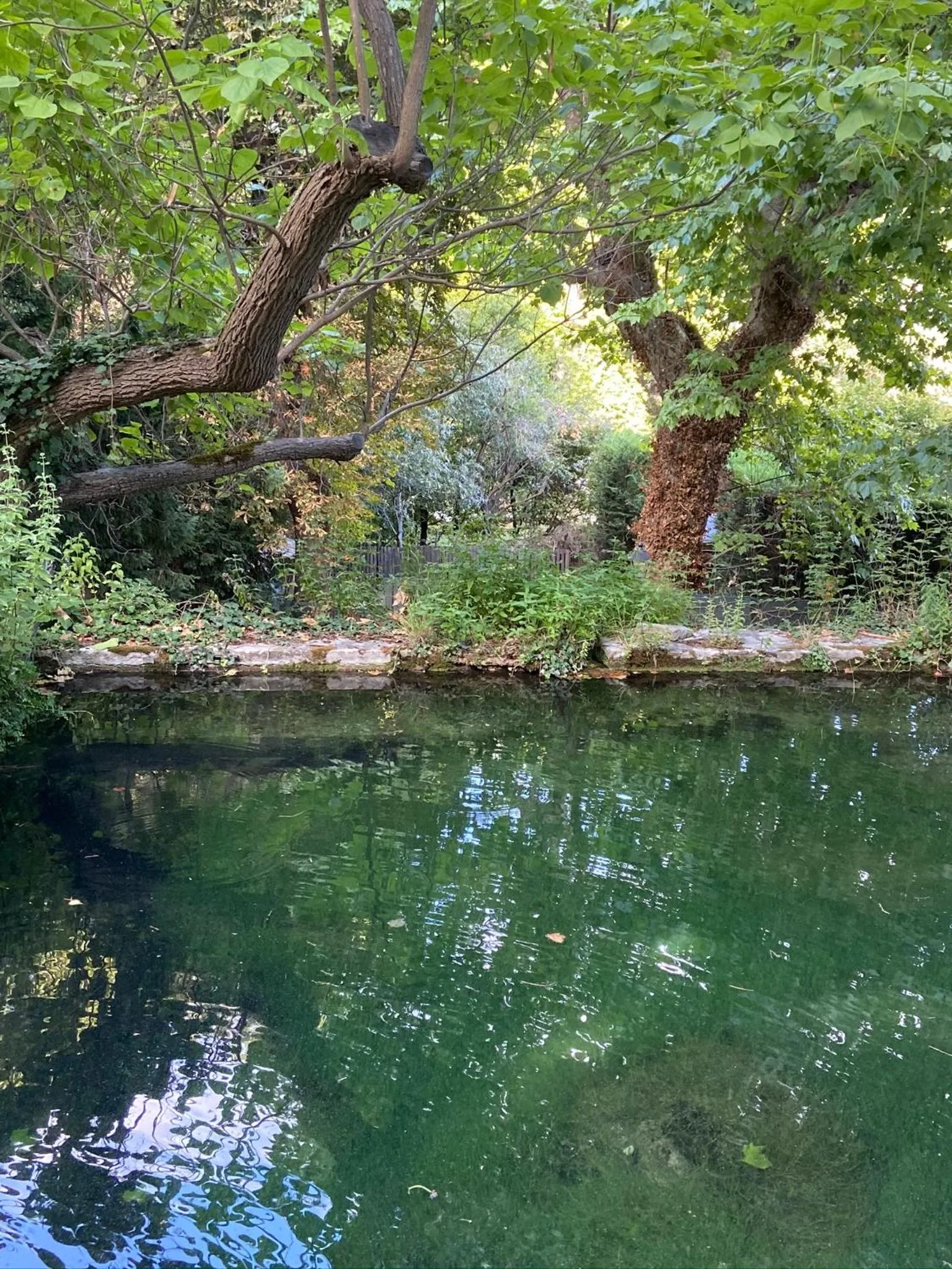 Garden in Hôtellerie Notre Dame de Lumières