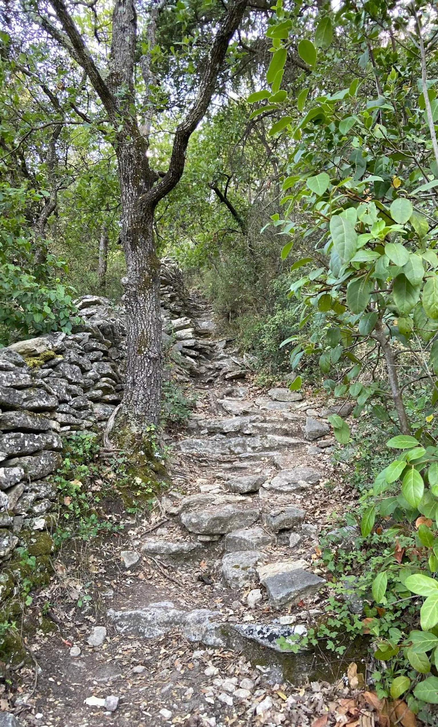 Garden in Hôtellerie Notre Dame de Lumières