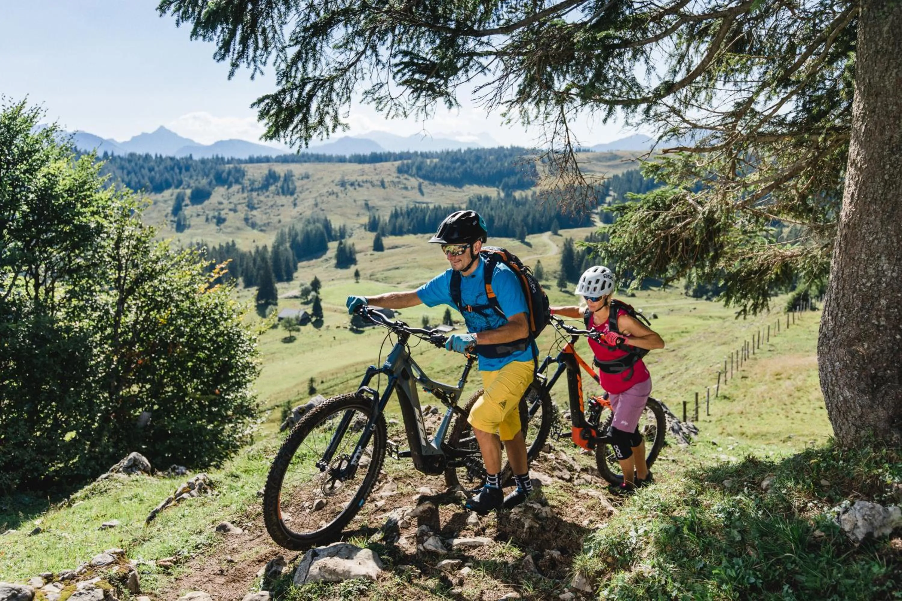 Summer in DAS Hintersee