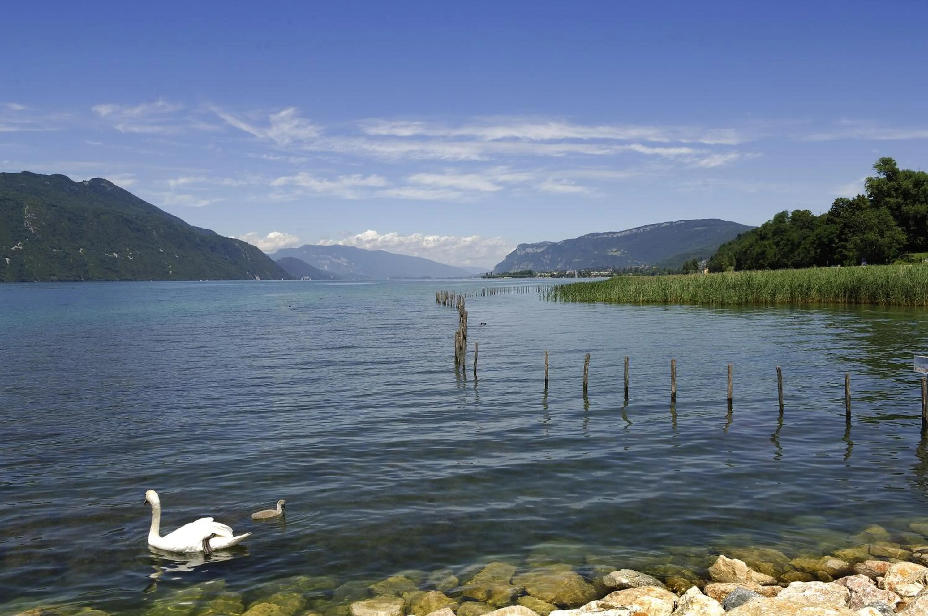 Area and facilities in Hotel ibis budget Aix Les Bains - Grésy