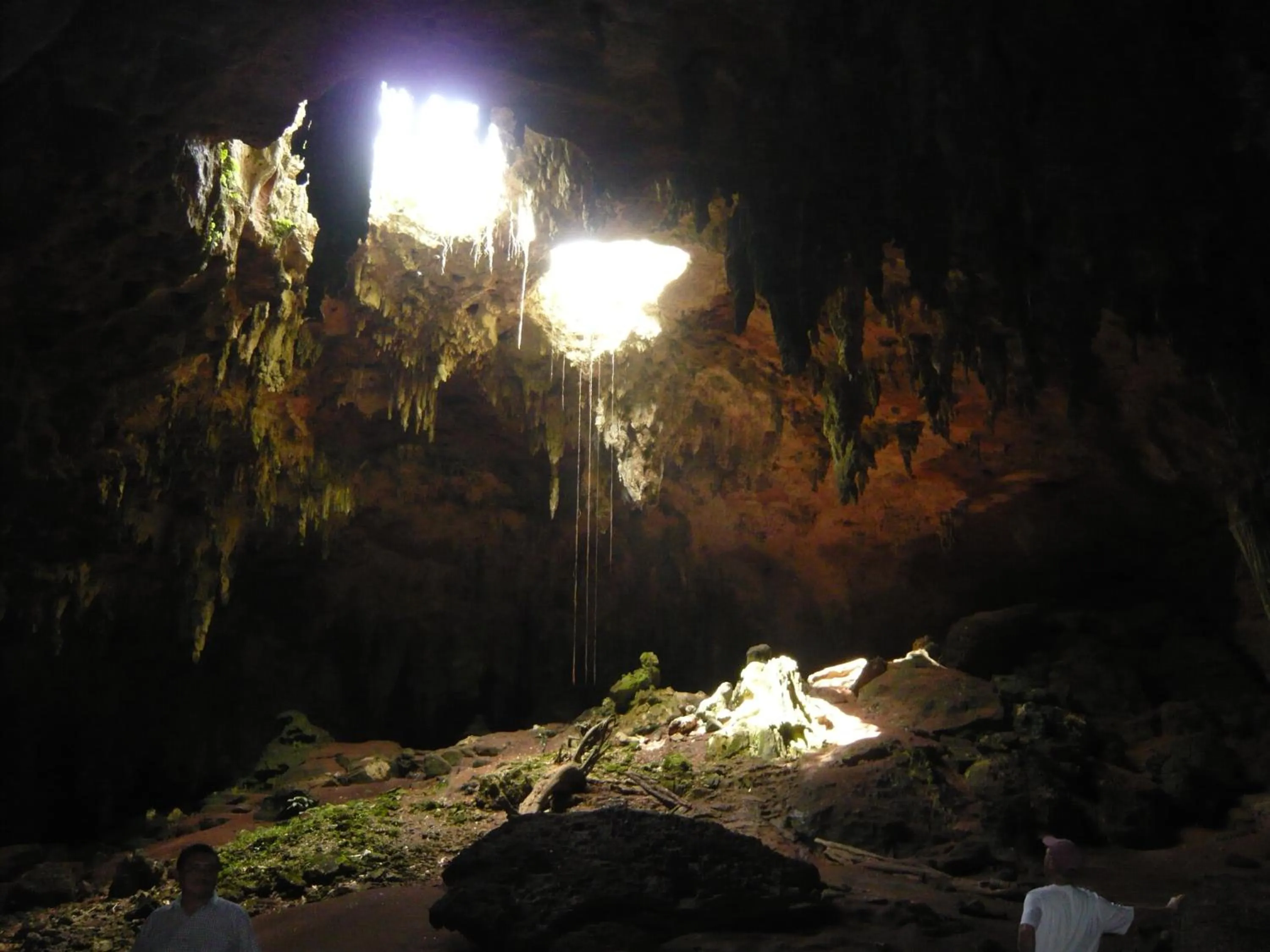 Area and facilities in The Lodge At Uxmal