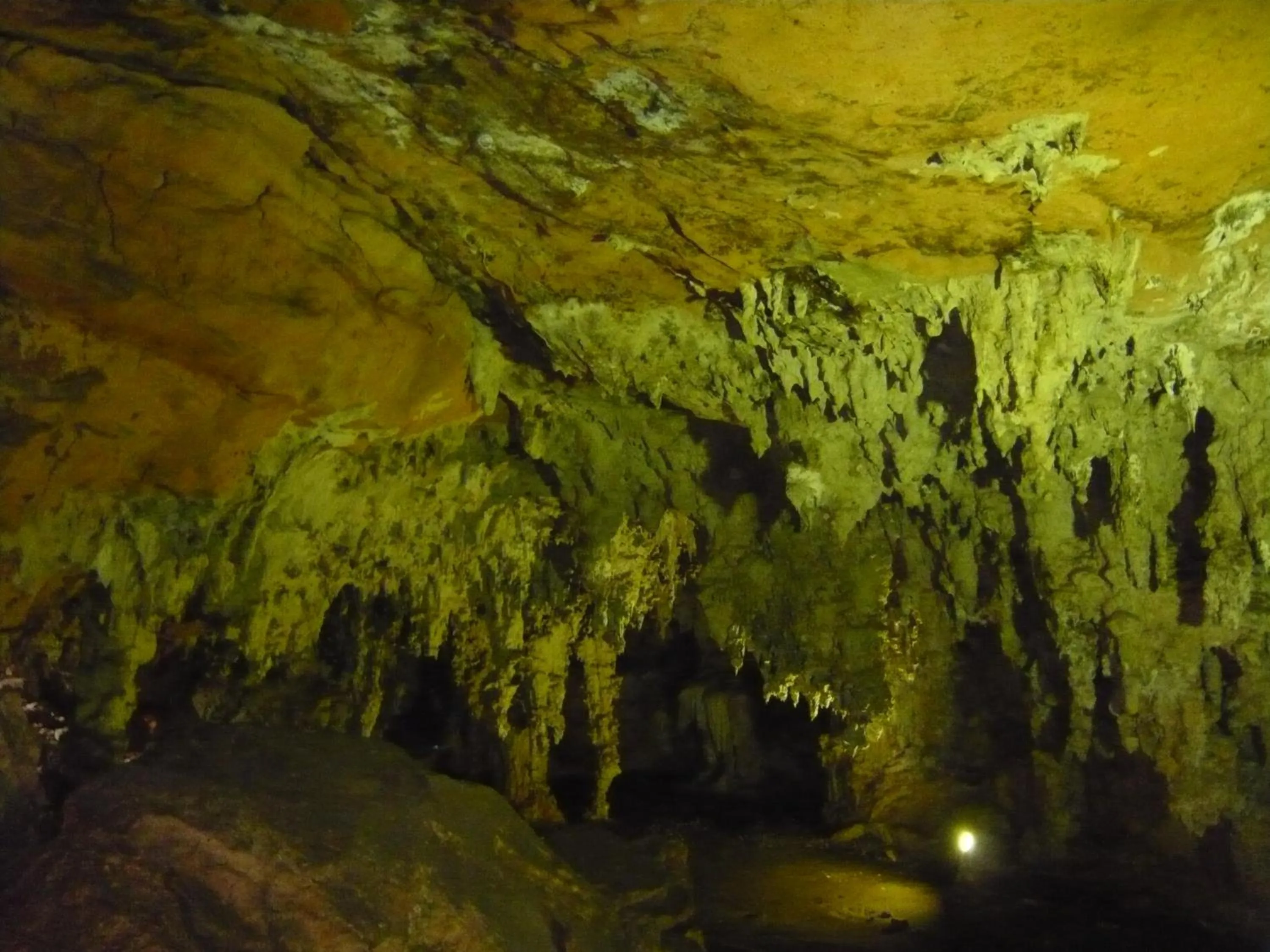Area and facilities in The Lodge At Uxmal