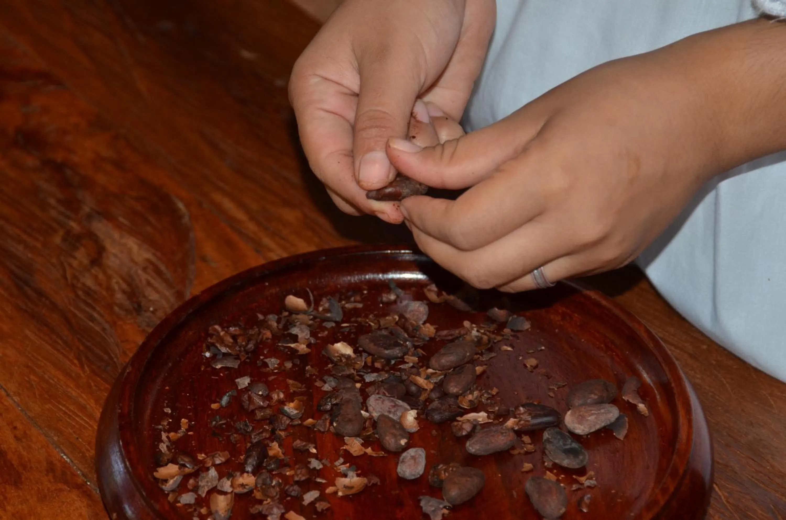 Area and facilities in The Lodge At Uxmal