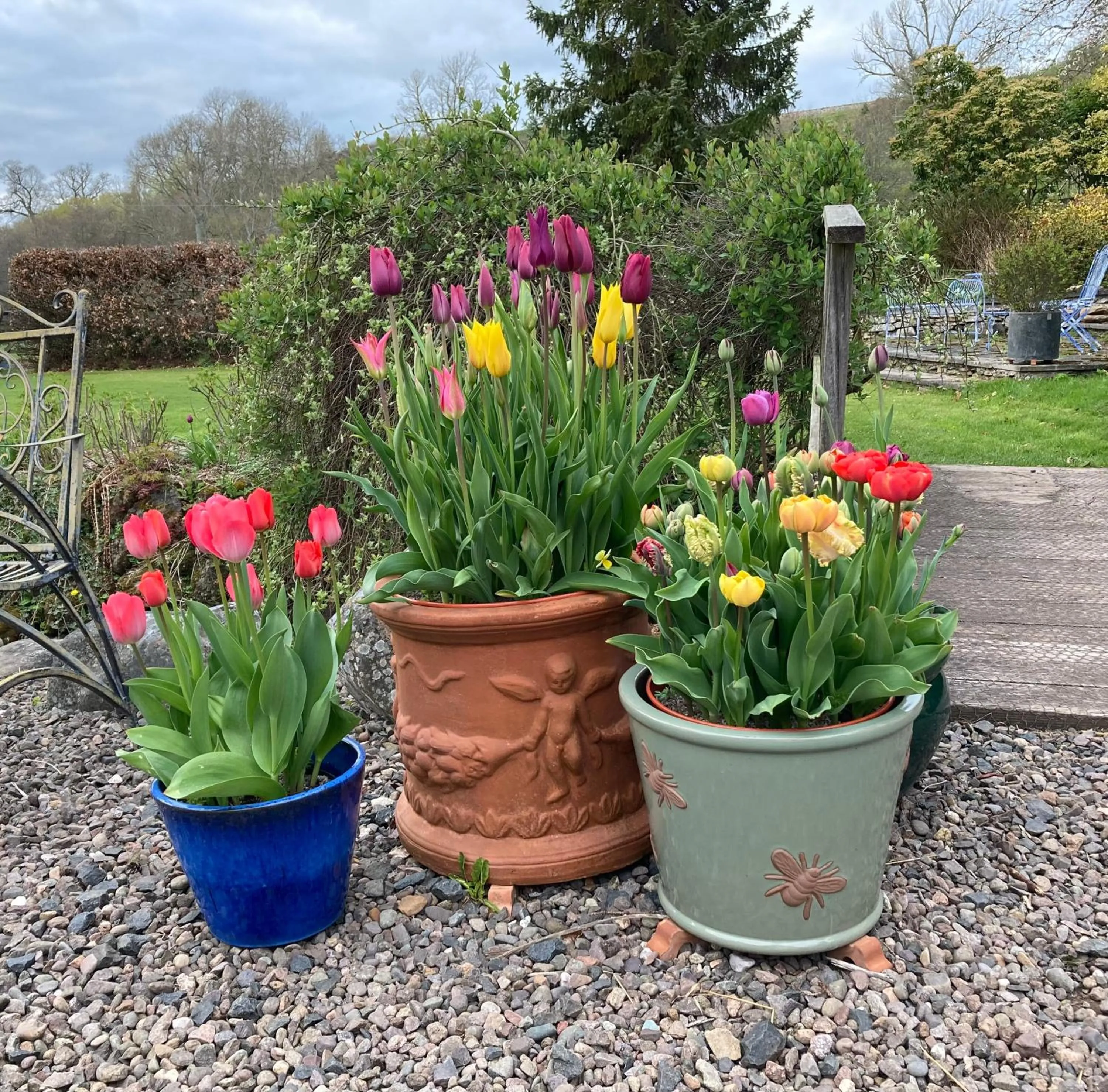 Garden in Bedrule Old Manse B&B