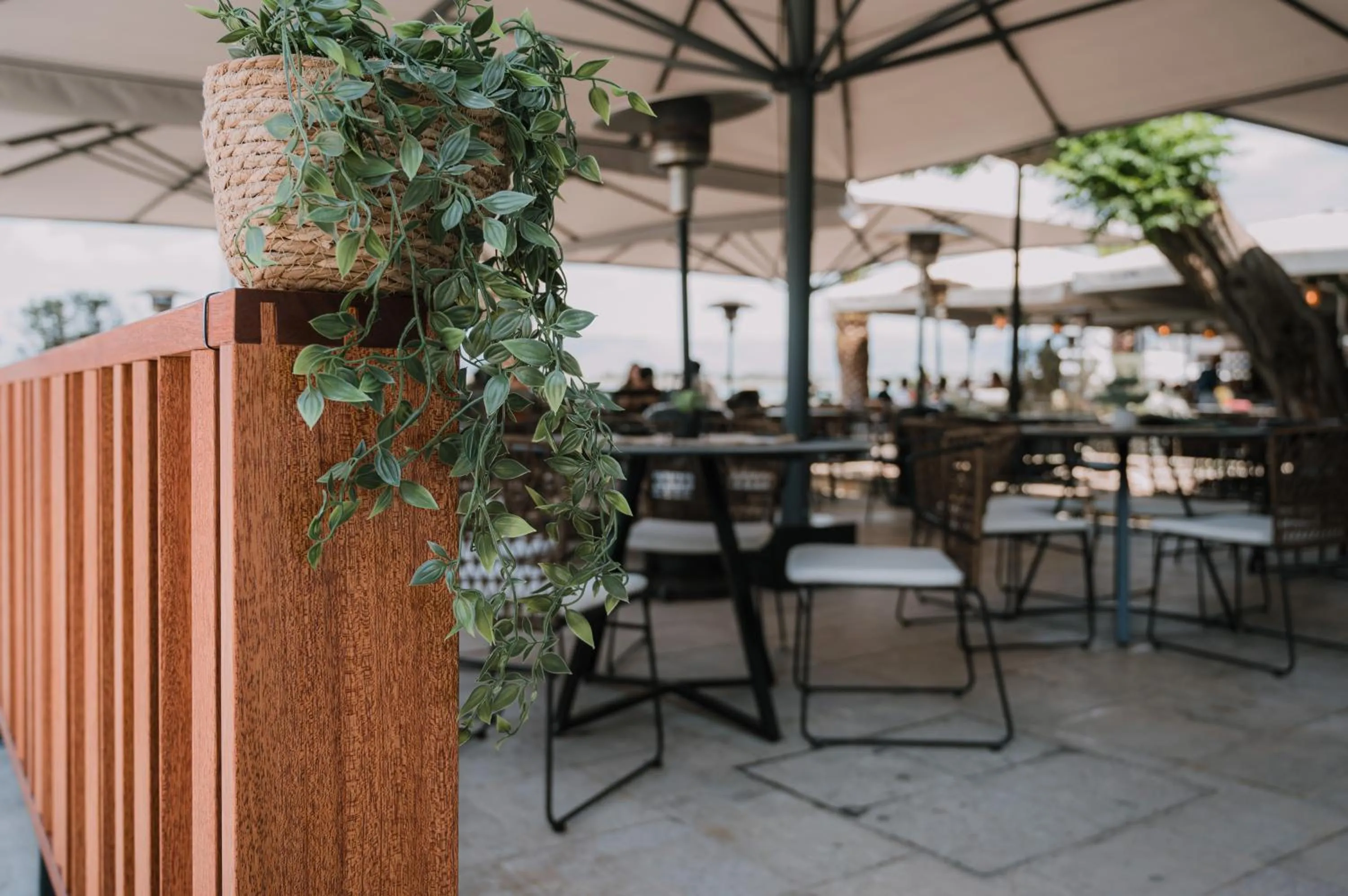 Restaurant/places to eat in Agamemnon Hotel