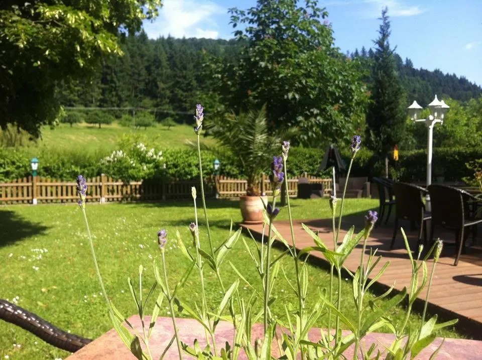 Garden in Landgasthof Hirsch