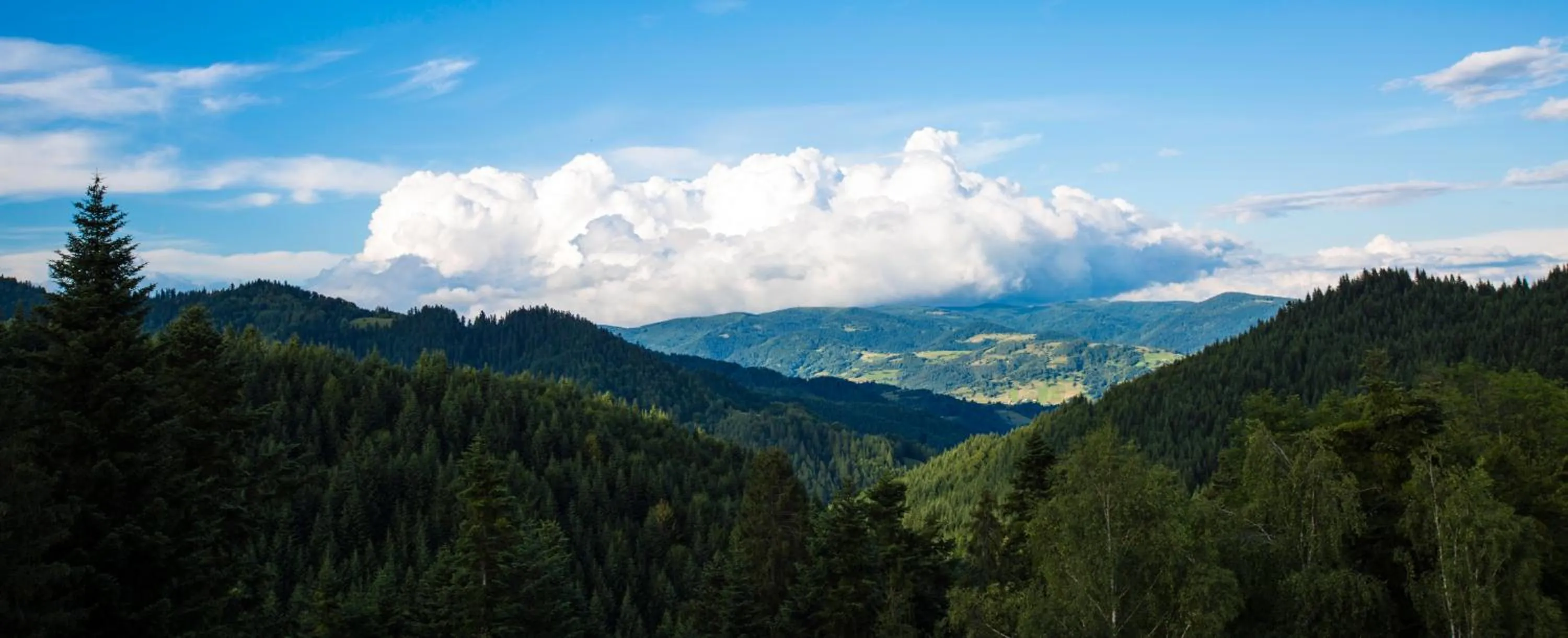 Neighbourhood in Ski Hotel