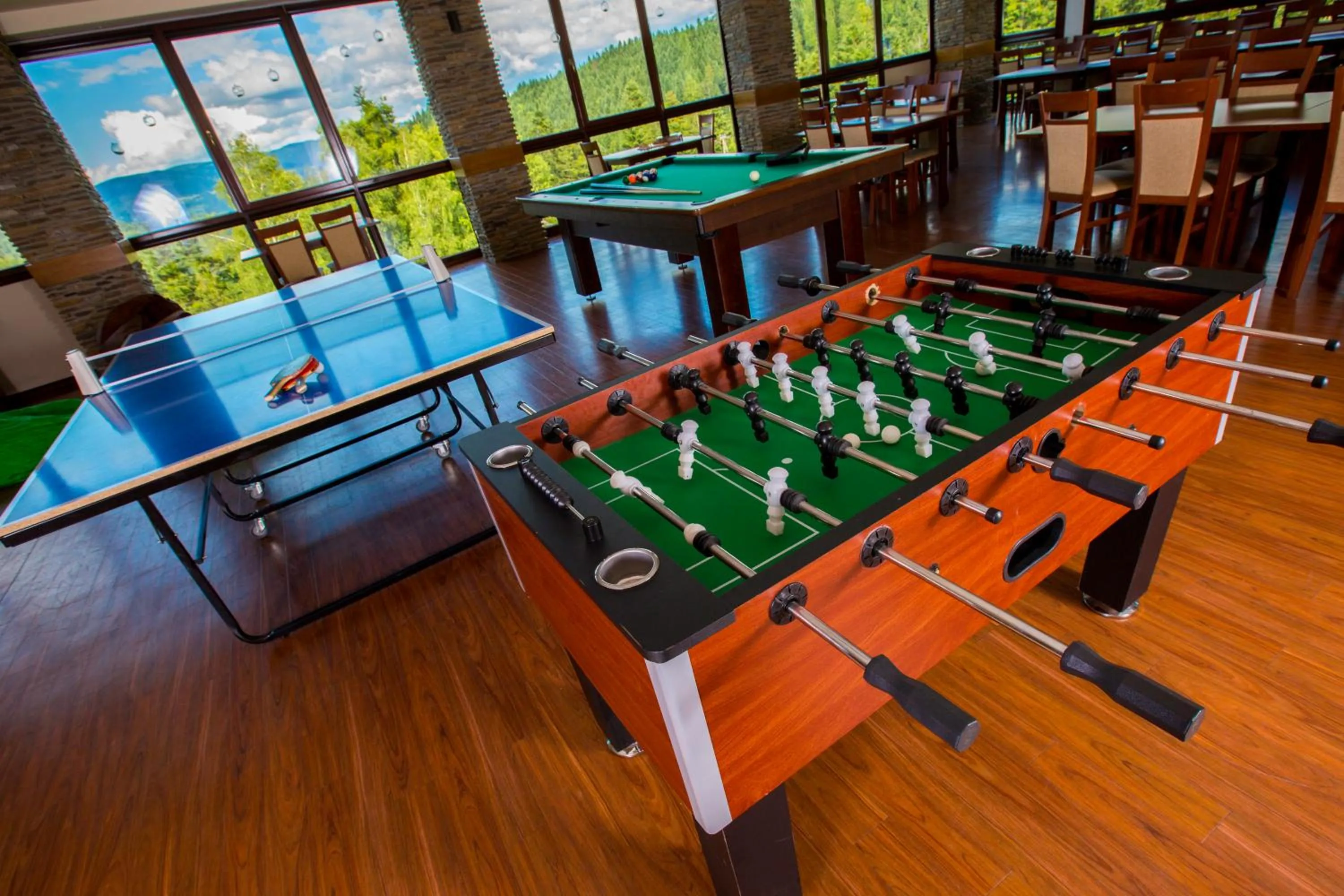 Game Room in Ski Hotel