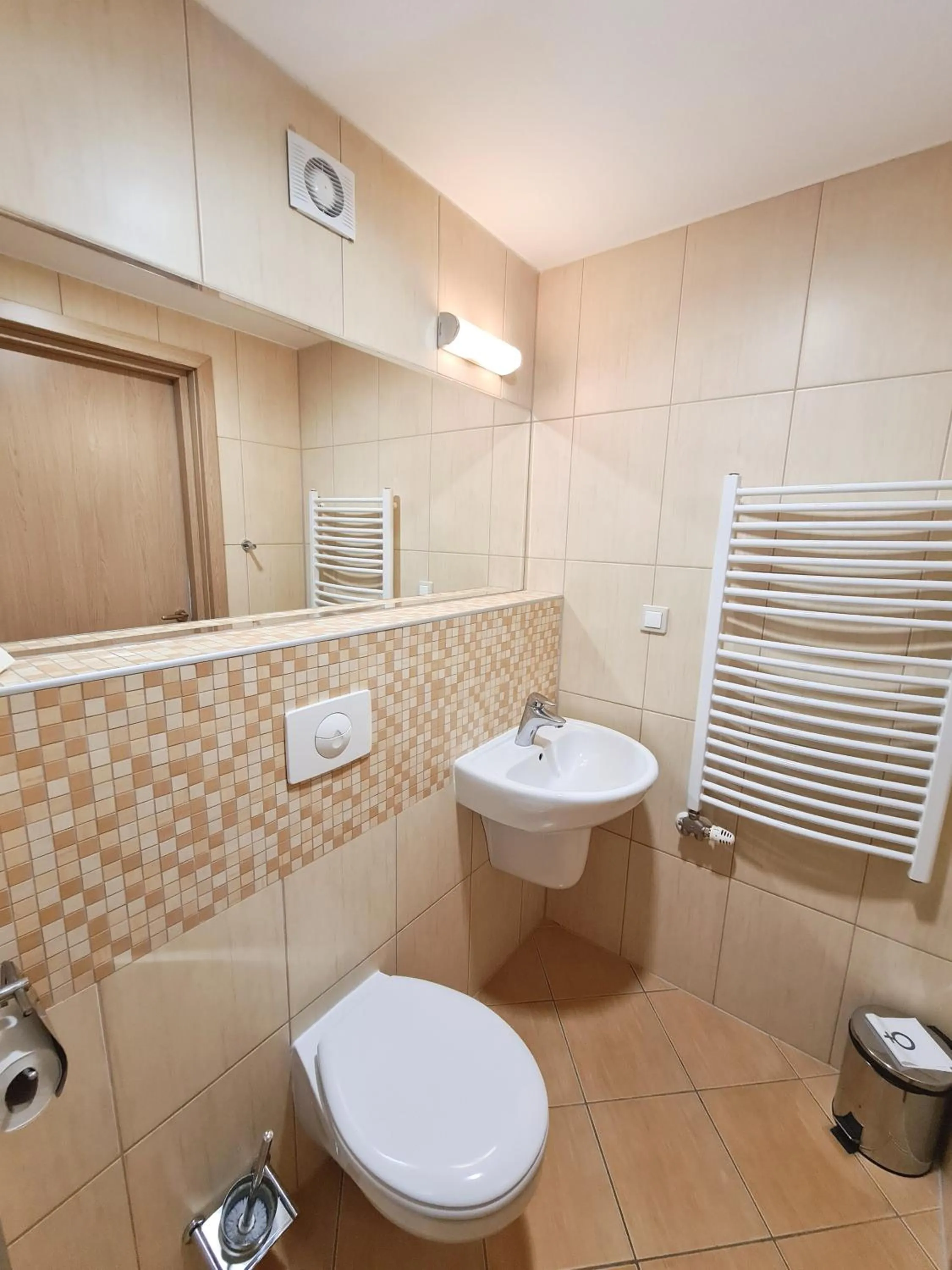 Bathroom in Ski Hotel