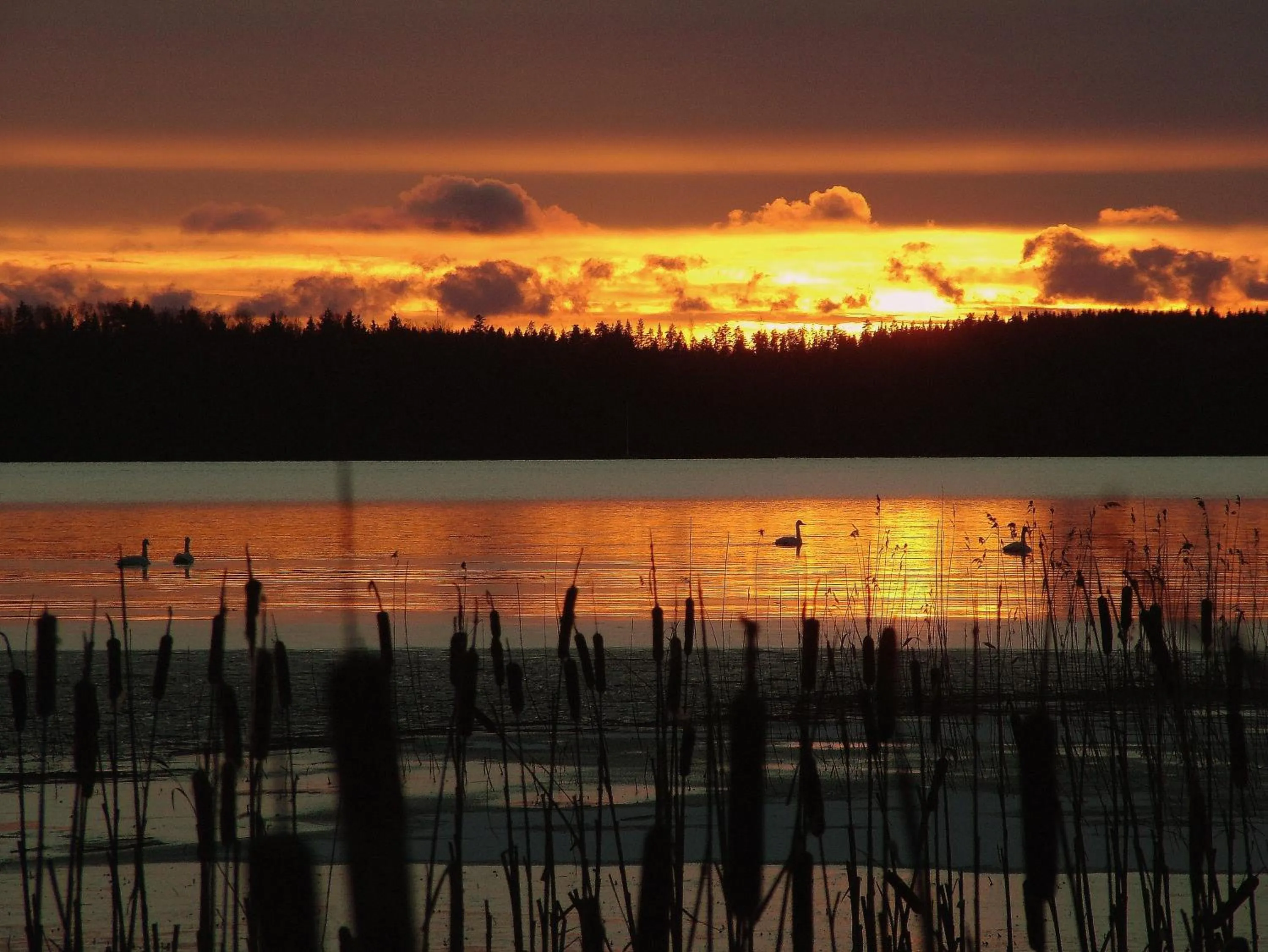 Spring in Lohja Spa & Resort