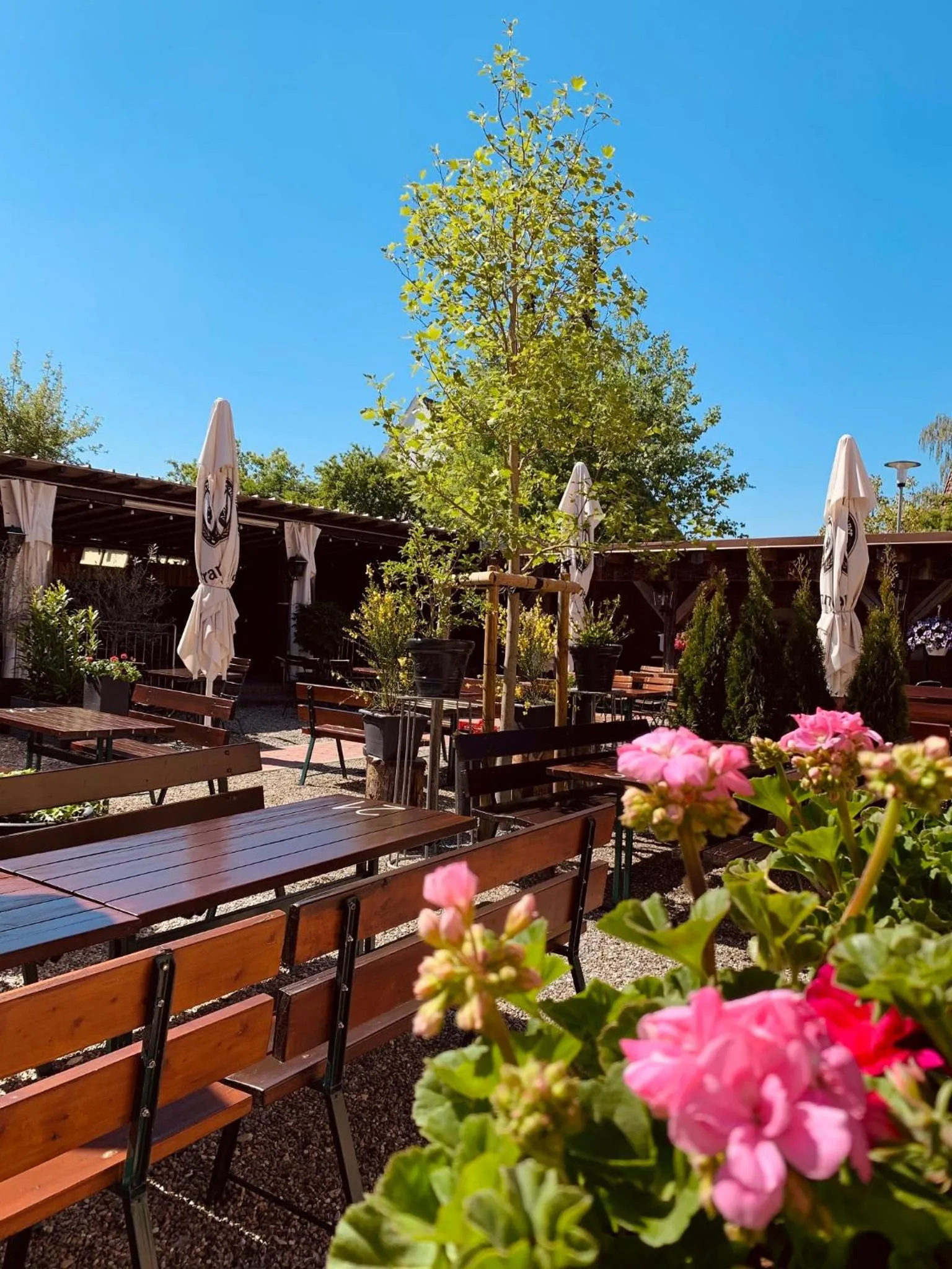 Patio in Landgasthof zur Sonne