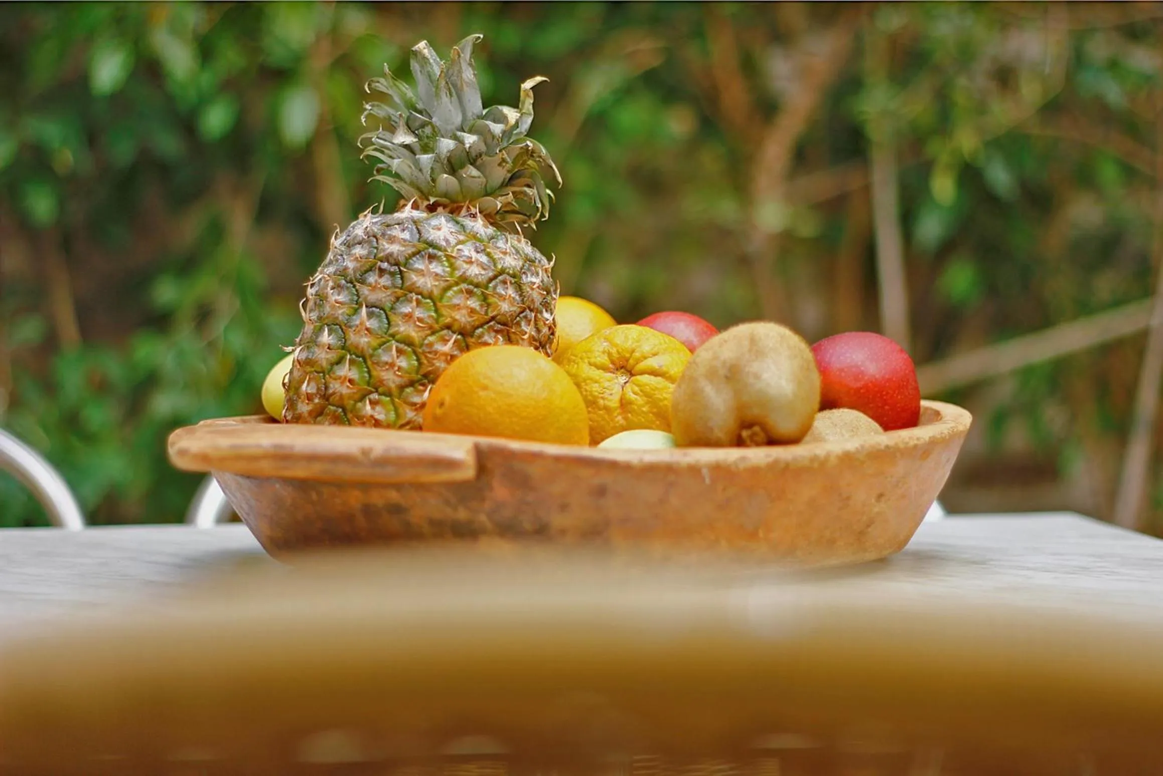 Garden in Diogenis Hotel