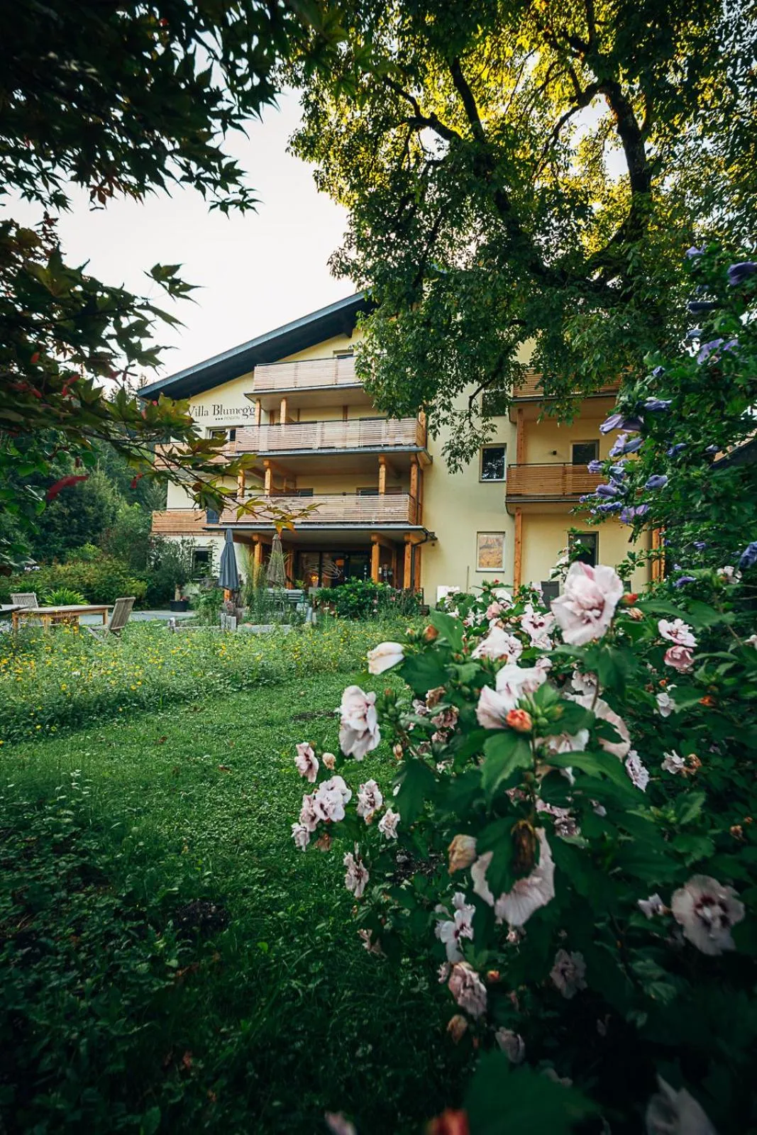 Property building in Villa Blumegg