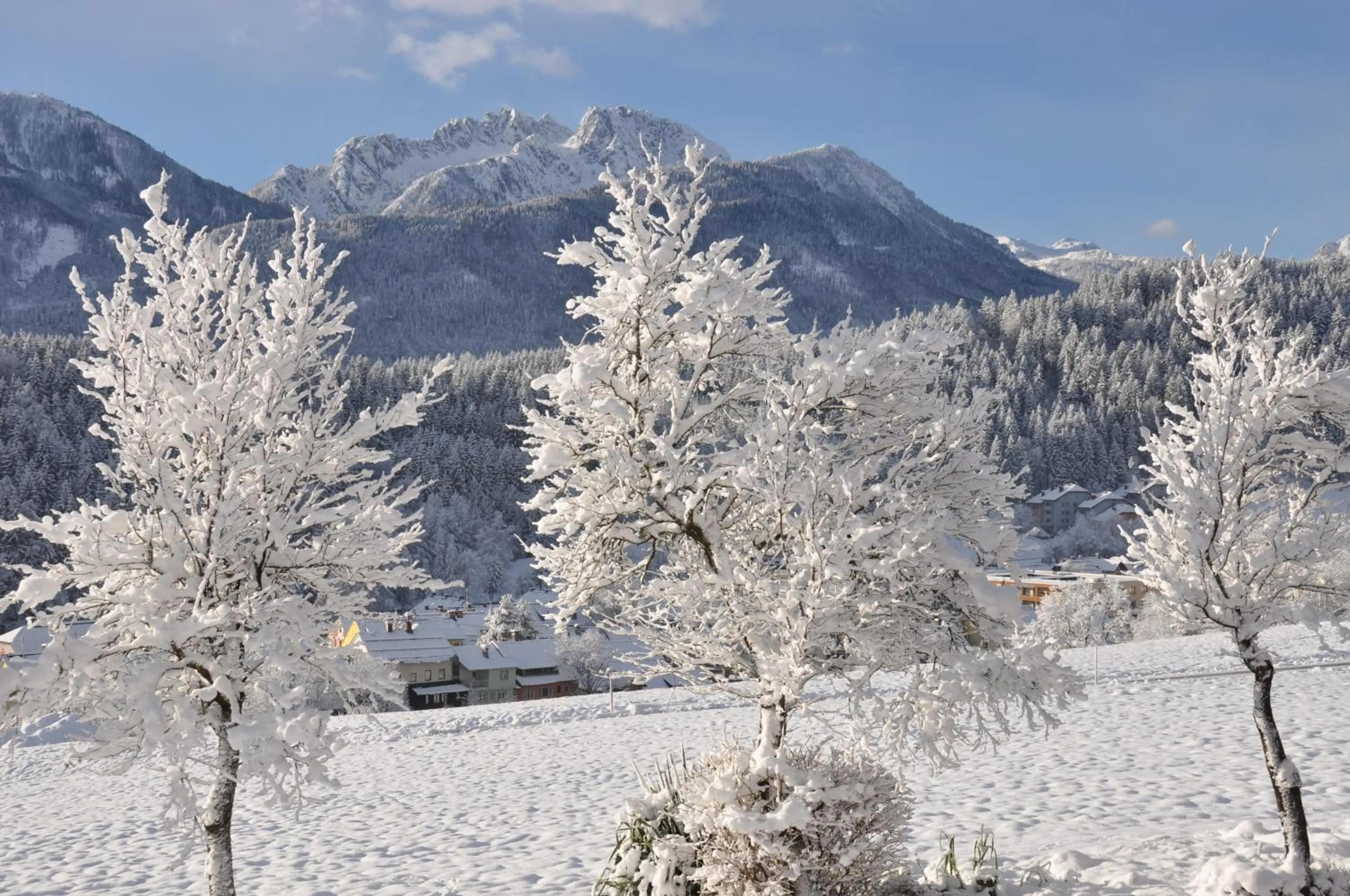 Garden in Villa Blumegg