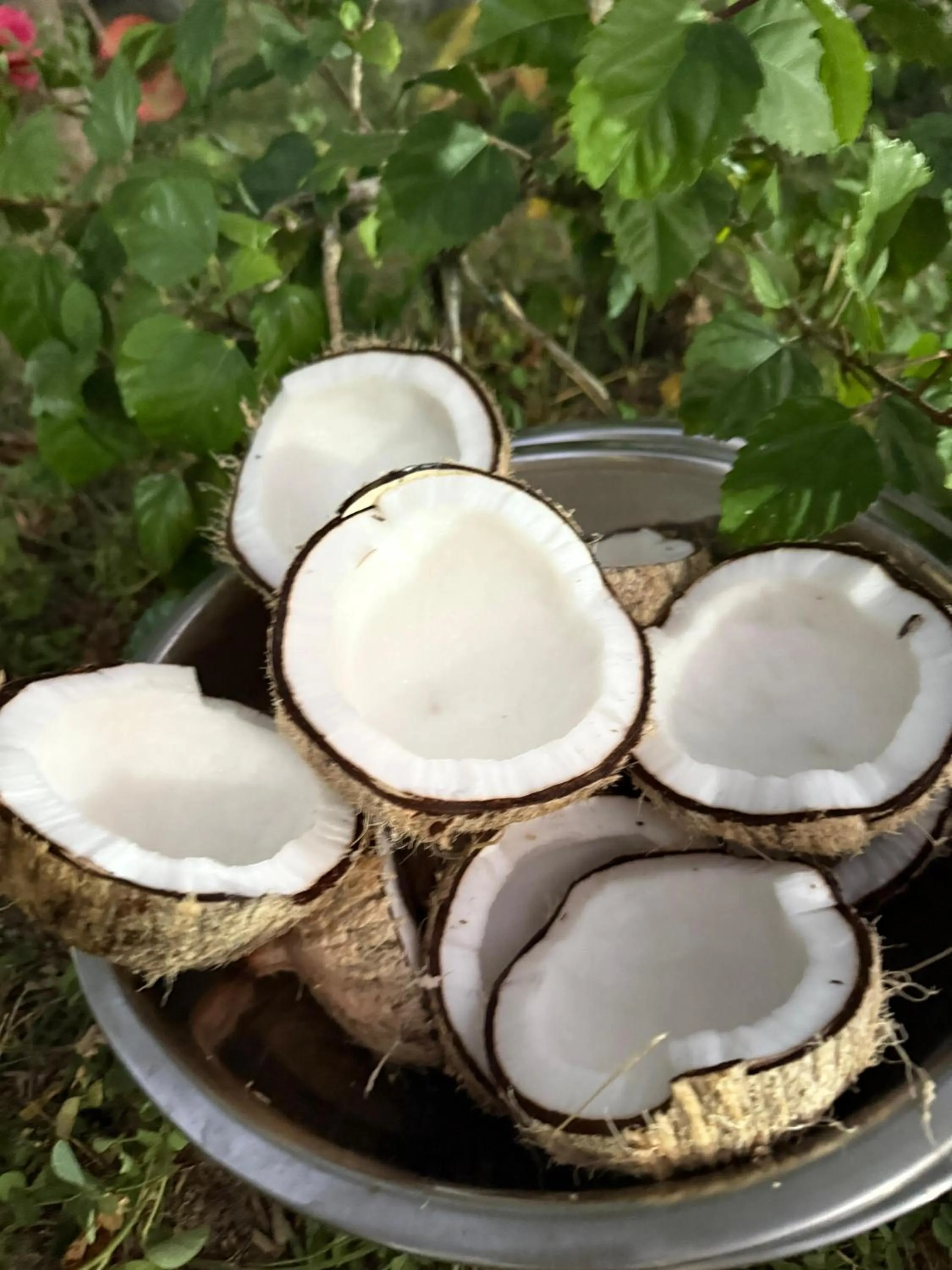 Breakfast in Pousada Império do Sol