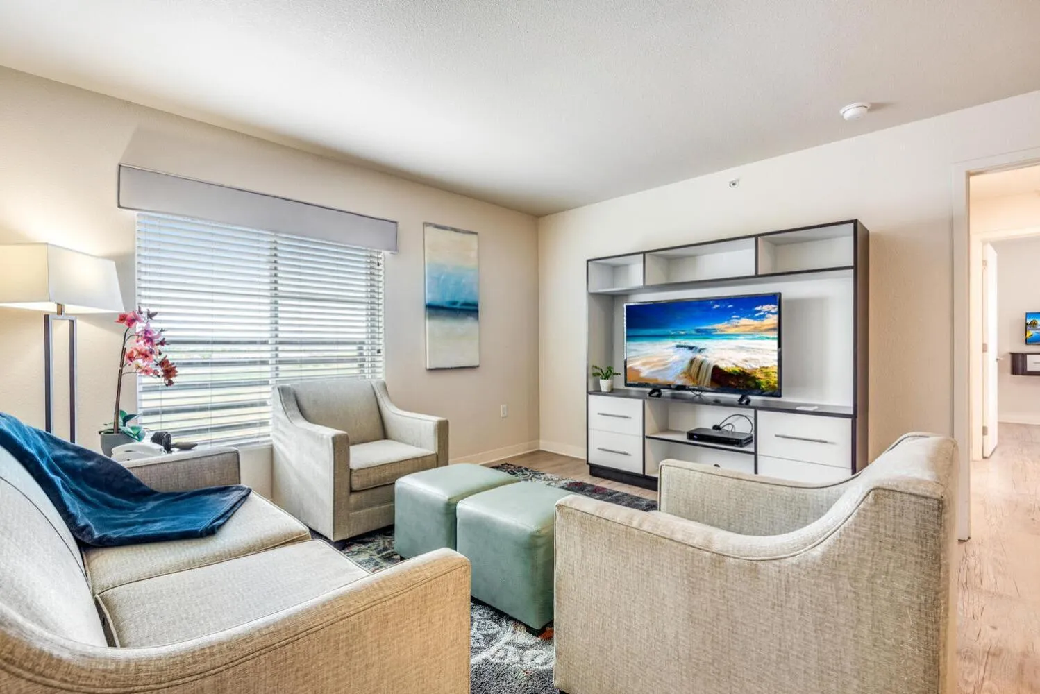 TV and multimedia in Parks Residential Denver