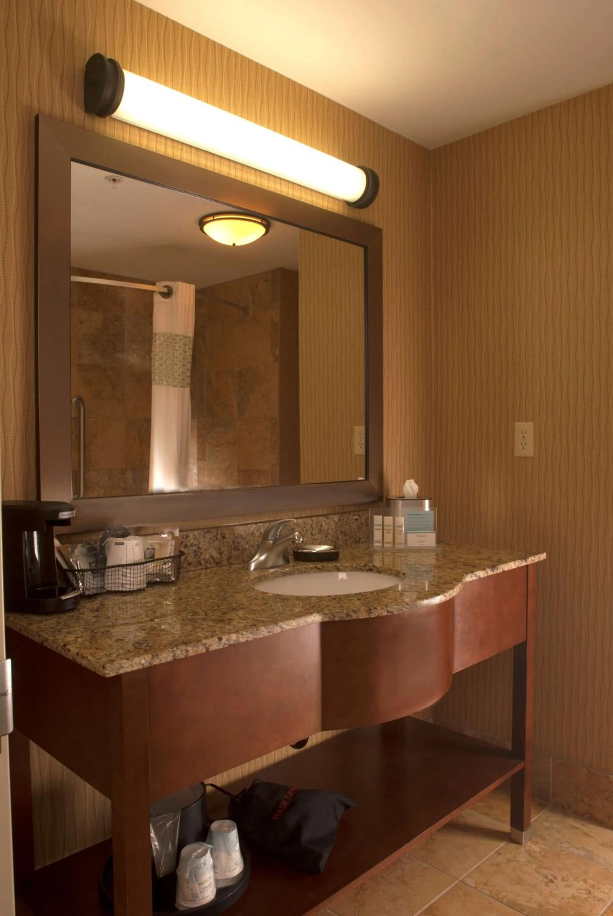 Bathroom in Hampton Inn Tomah