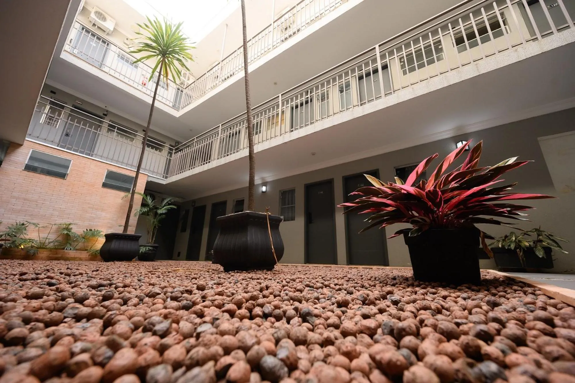 Garden view in Hotel Universitario