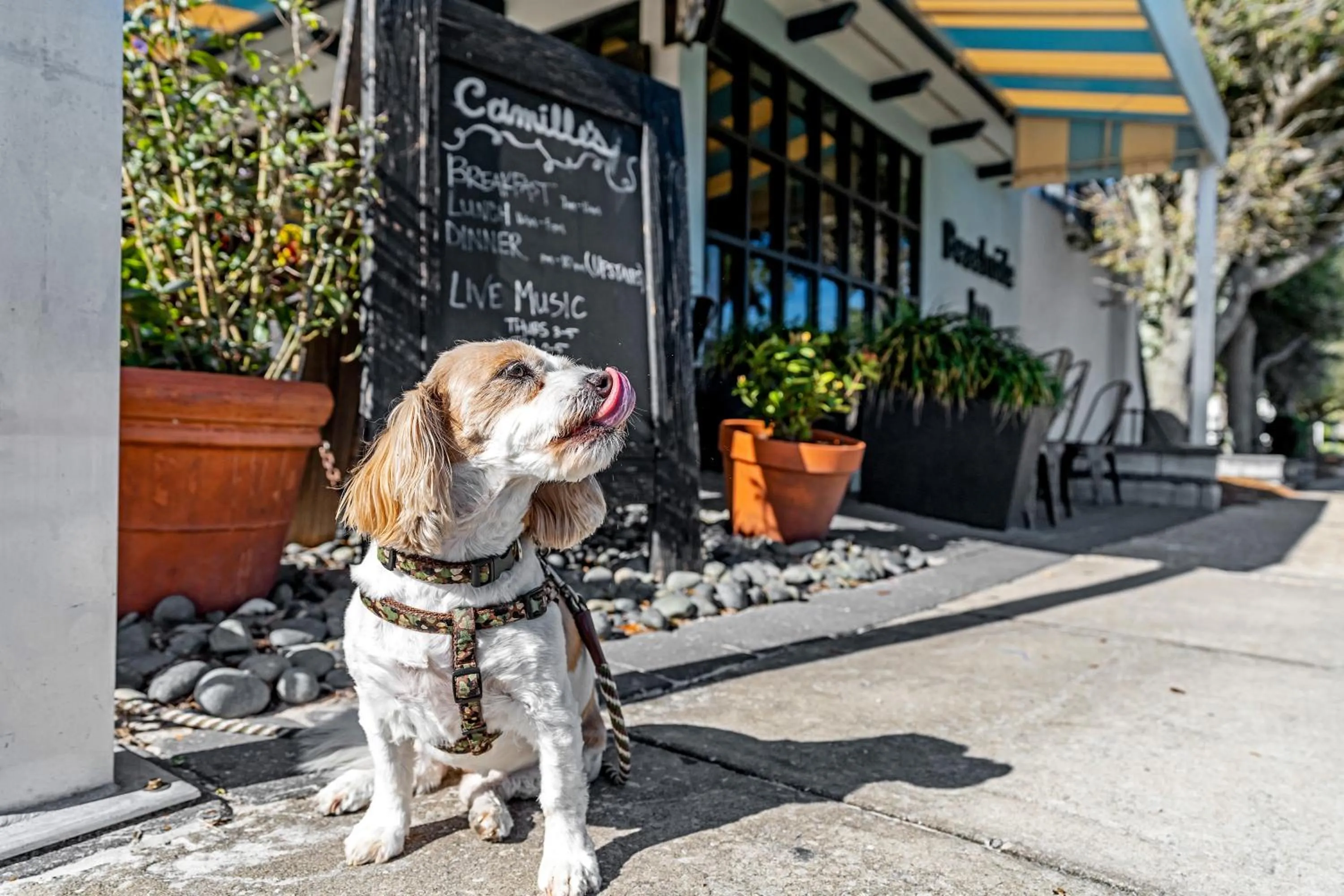 Restaurant/places to eat in Beachside Inn