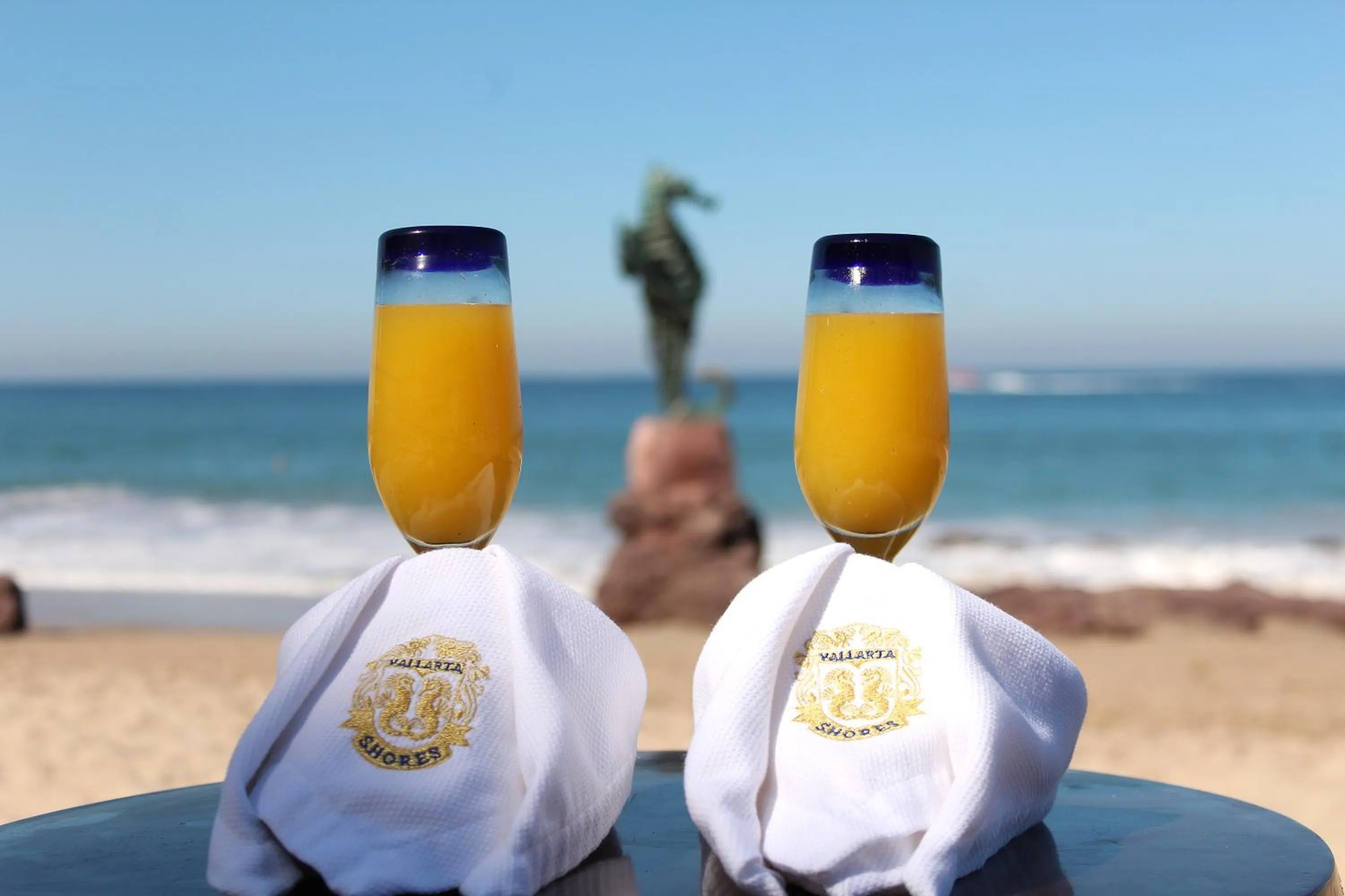 Beach in Vallarta Shores Beach Hotel