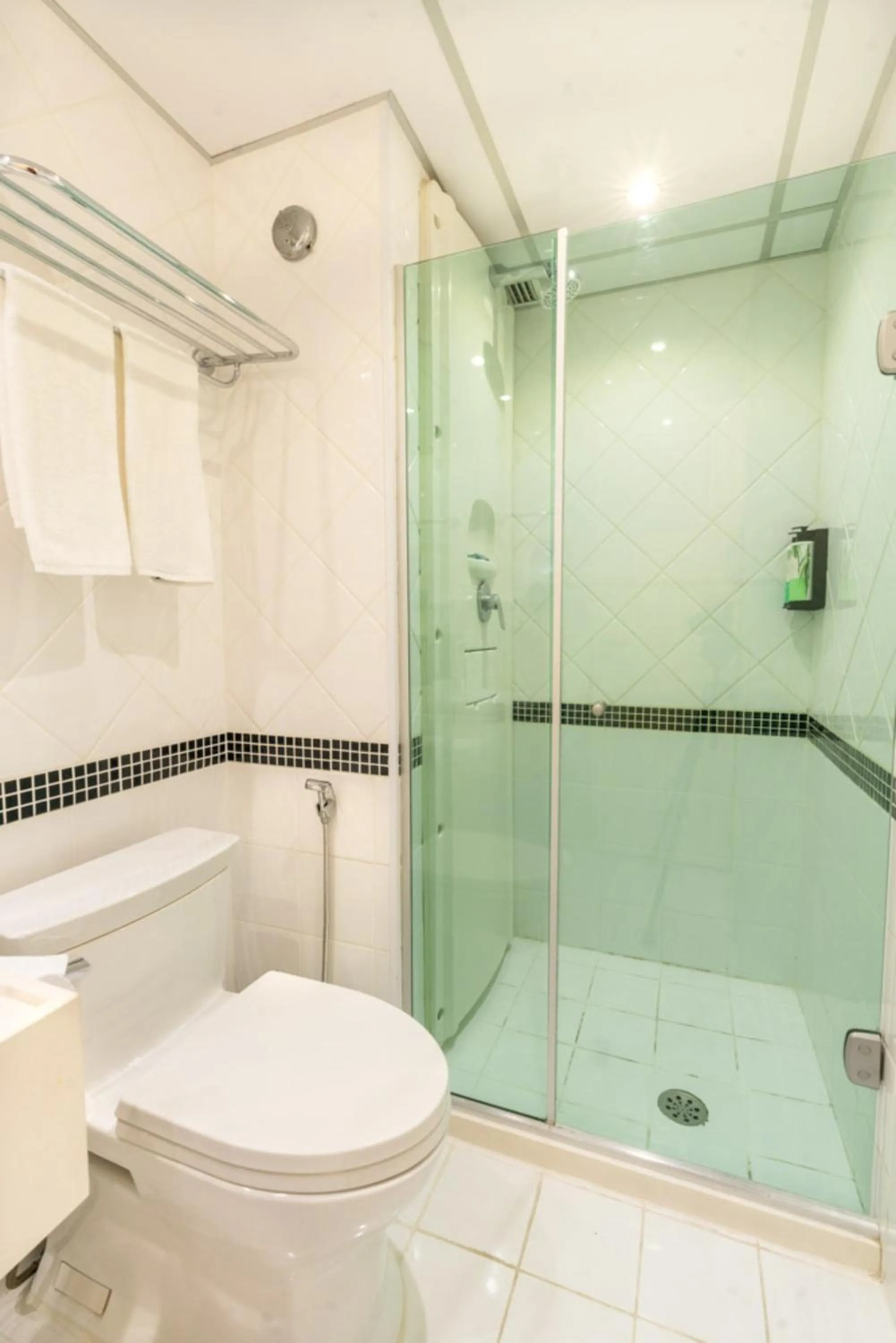 Toilet in Intercity Pamplona - The Universe Paulista