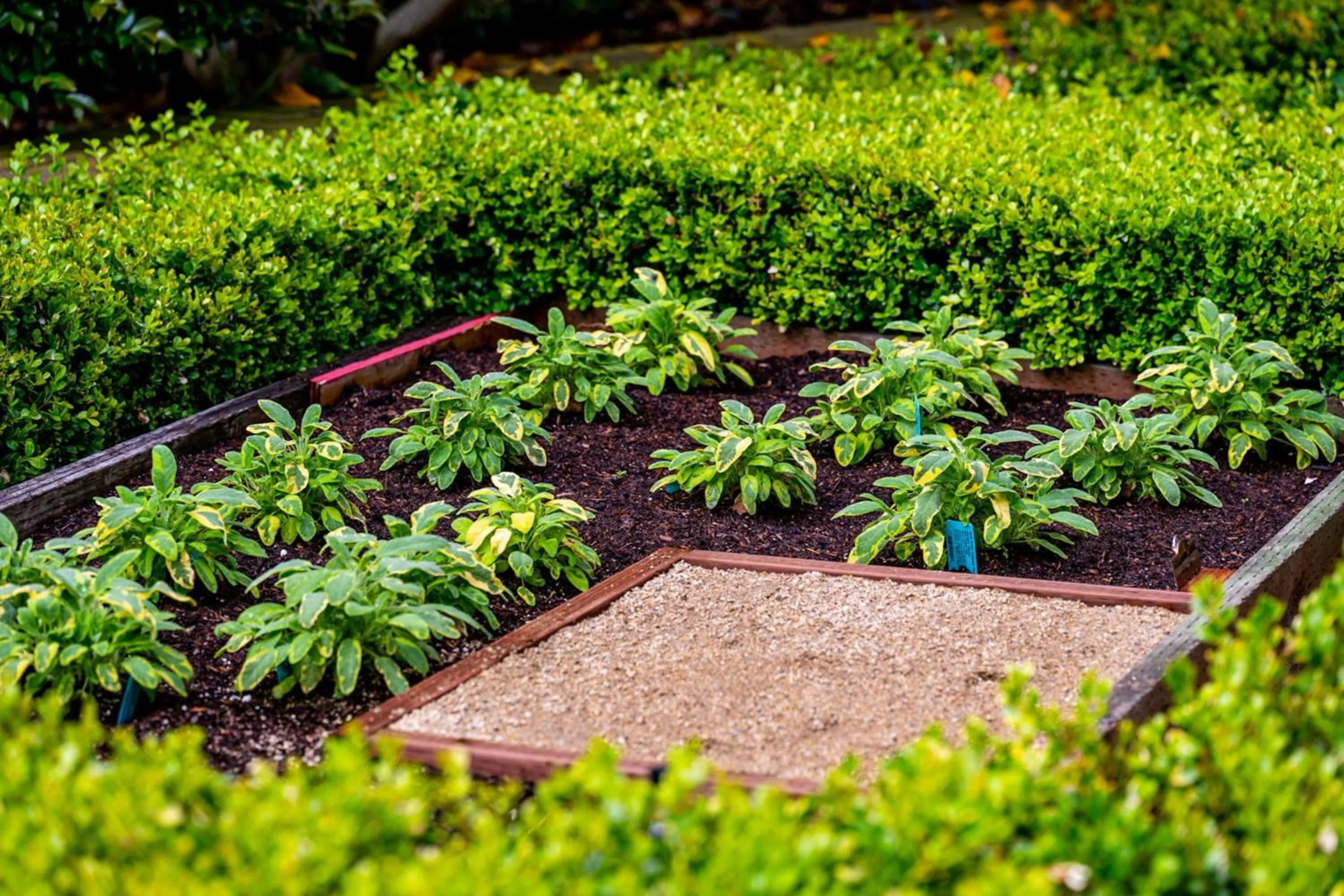 Restaurant/places to eat in The Ritz-Carlton, San Francisco
