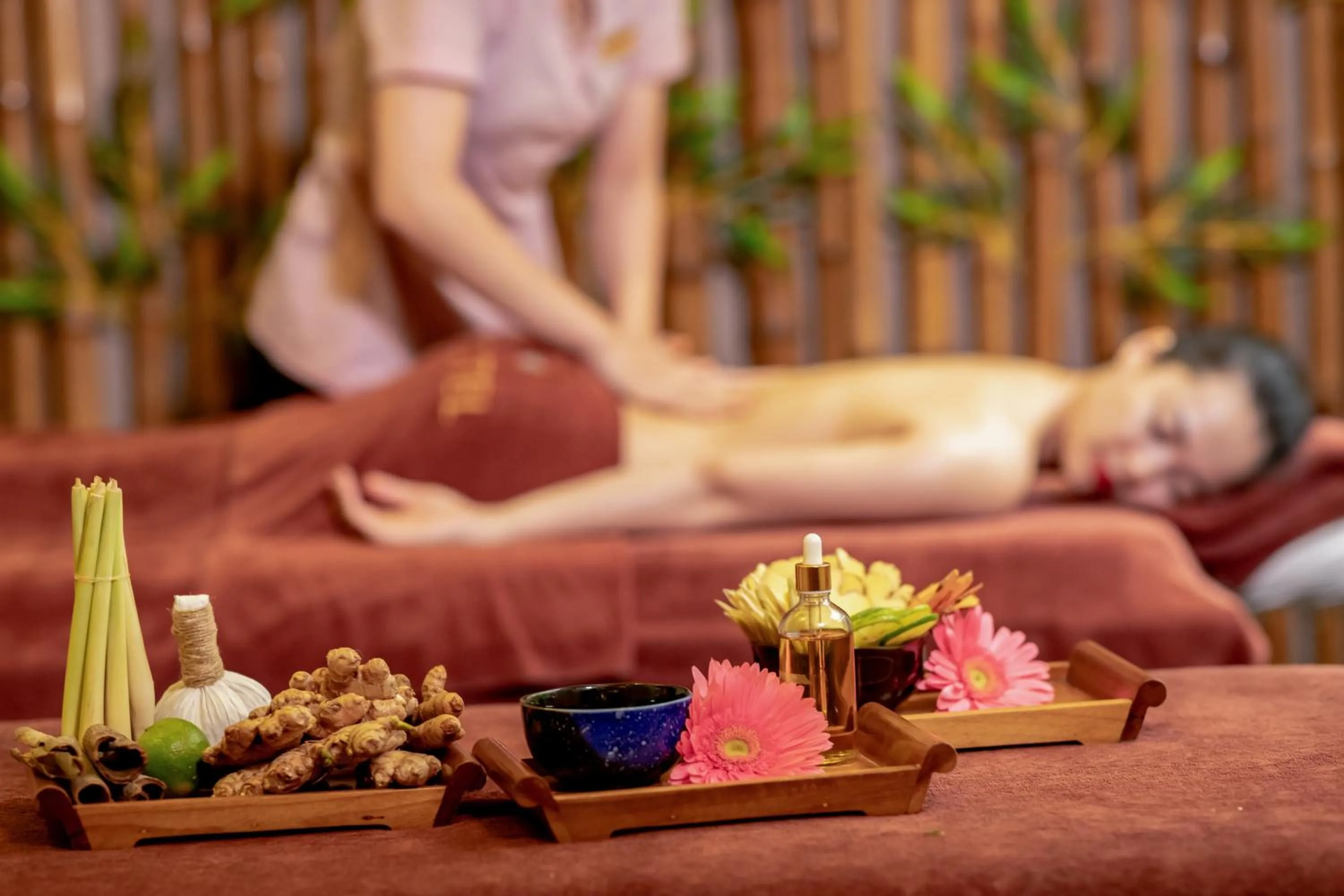 Spa and wellness centre/facilities in Alba Spa Hotel