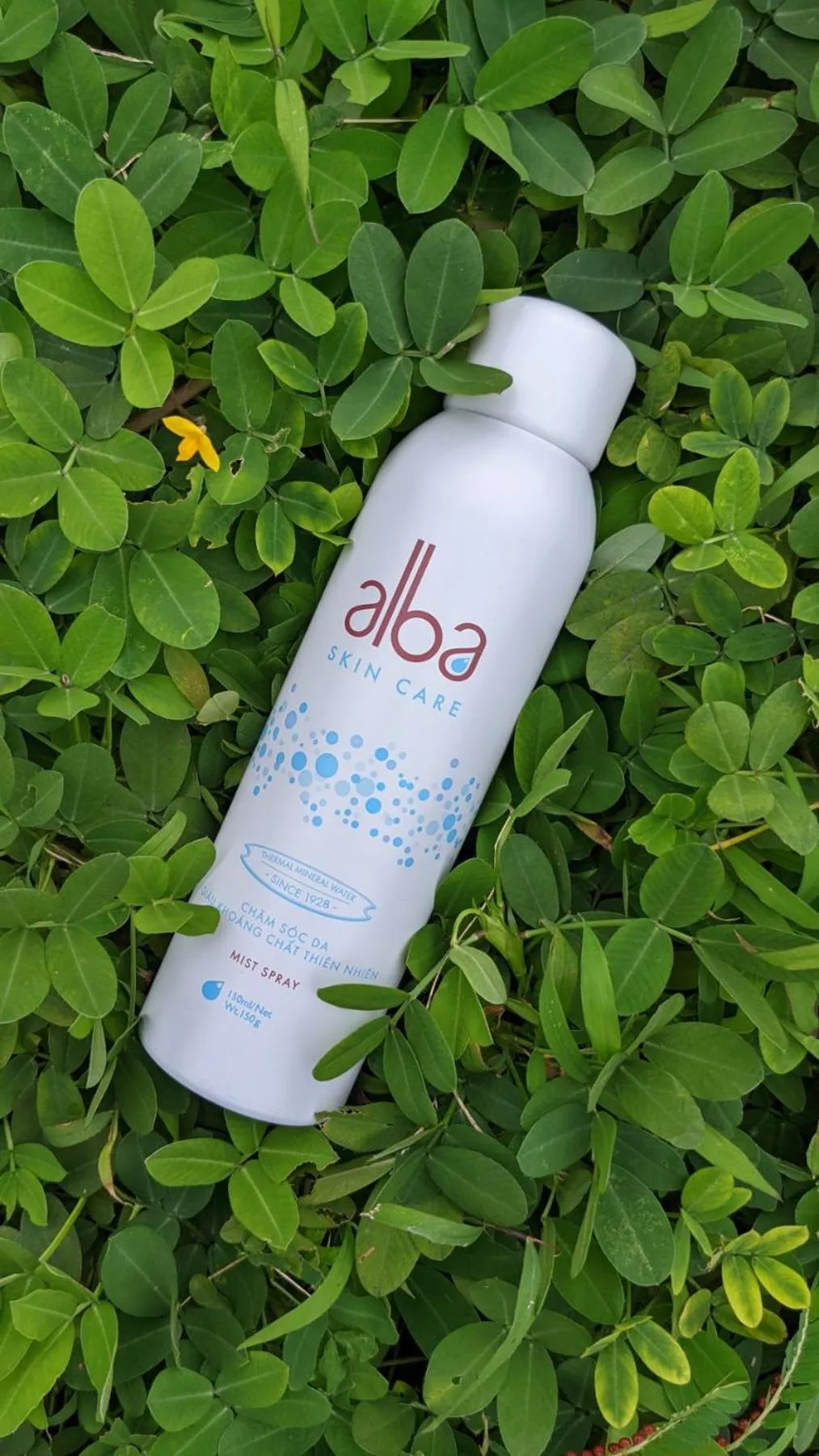 Other in Alba Spa Hotel