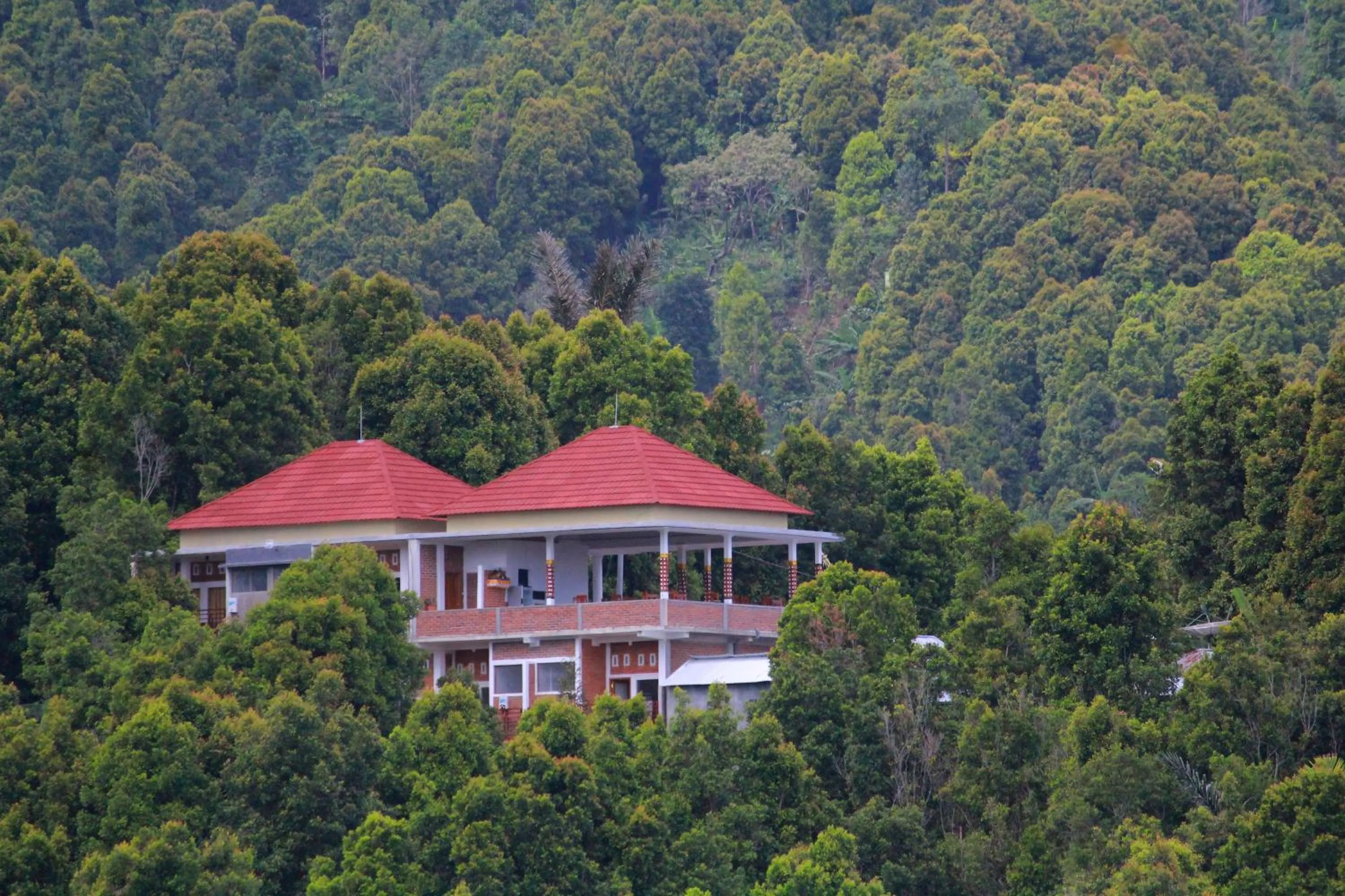 Bird's eye view in Bali Bening
