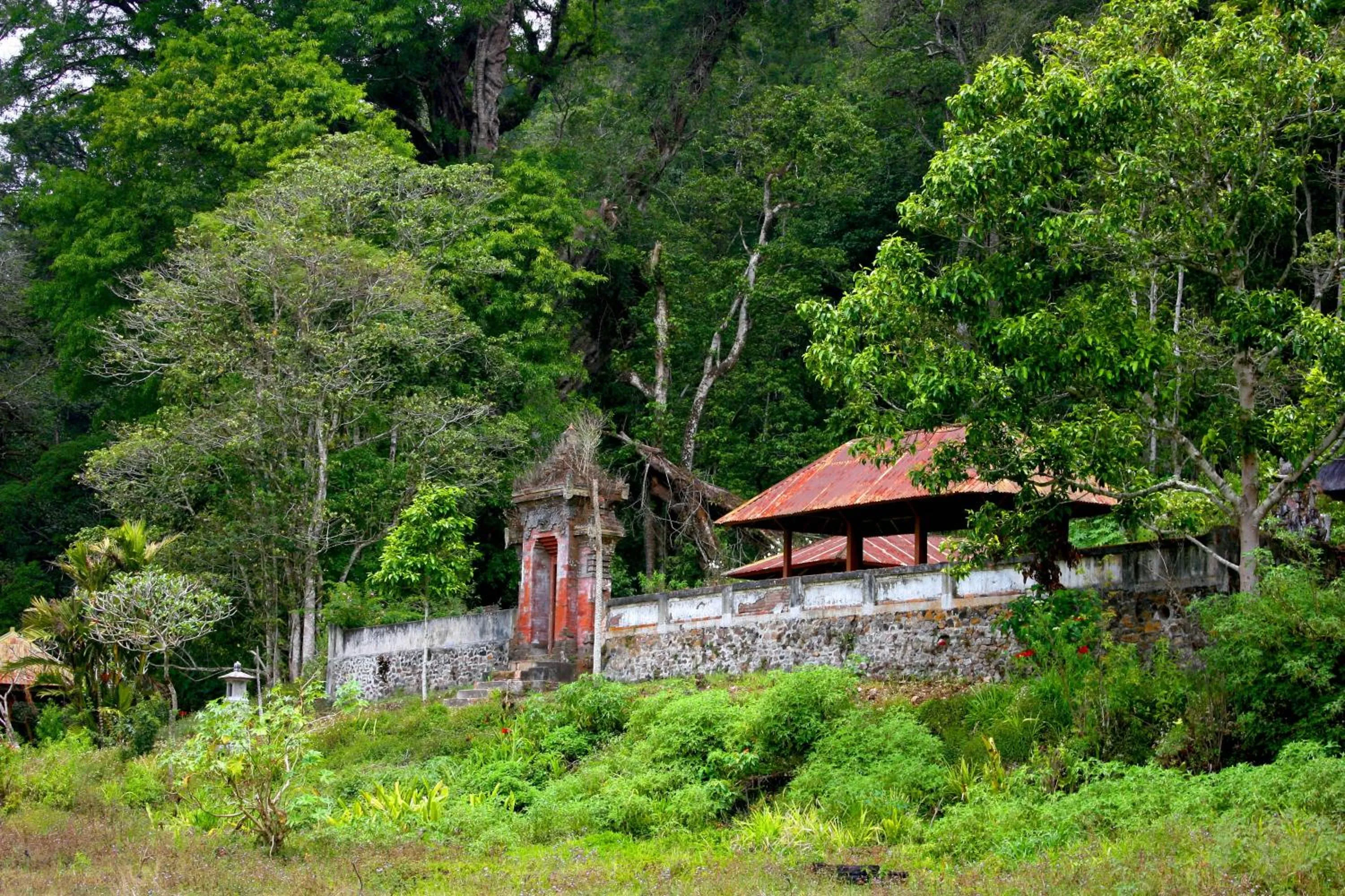 Hiking in Bali Bening